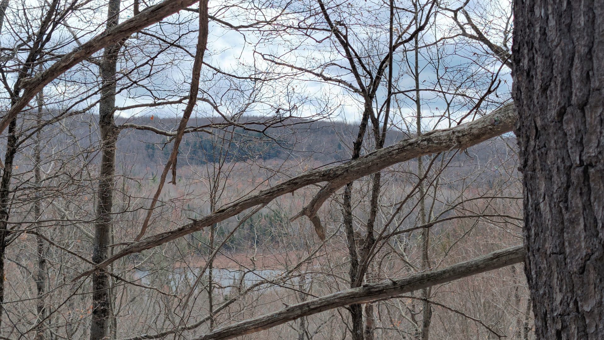 Land/Lot