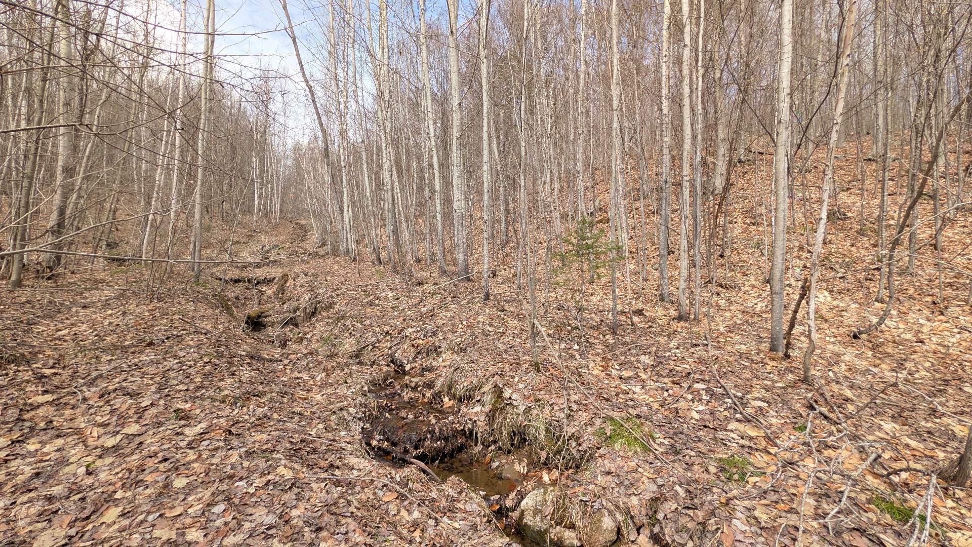 Land/Lot