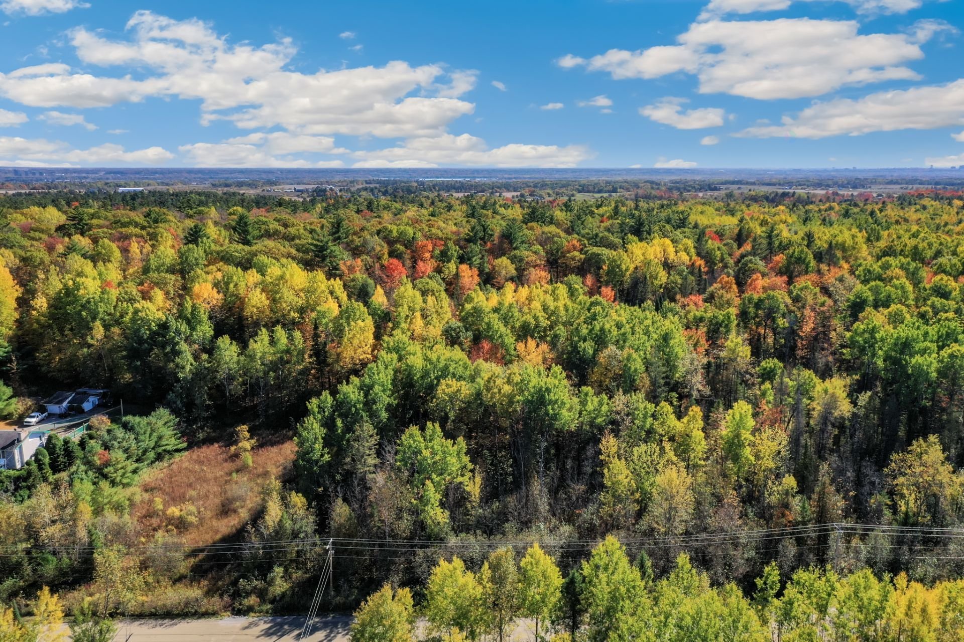 Land/Lot