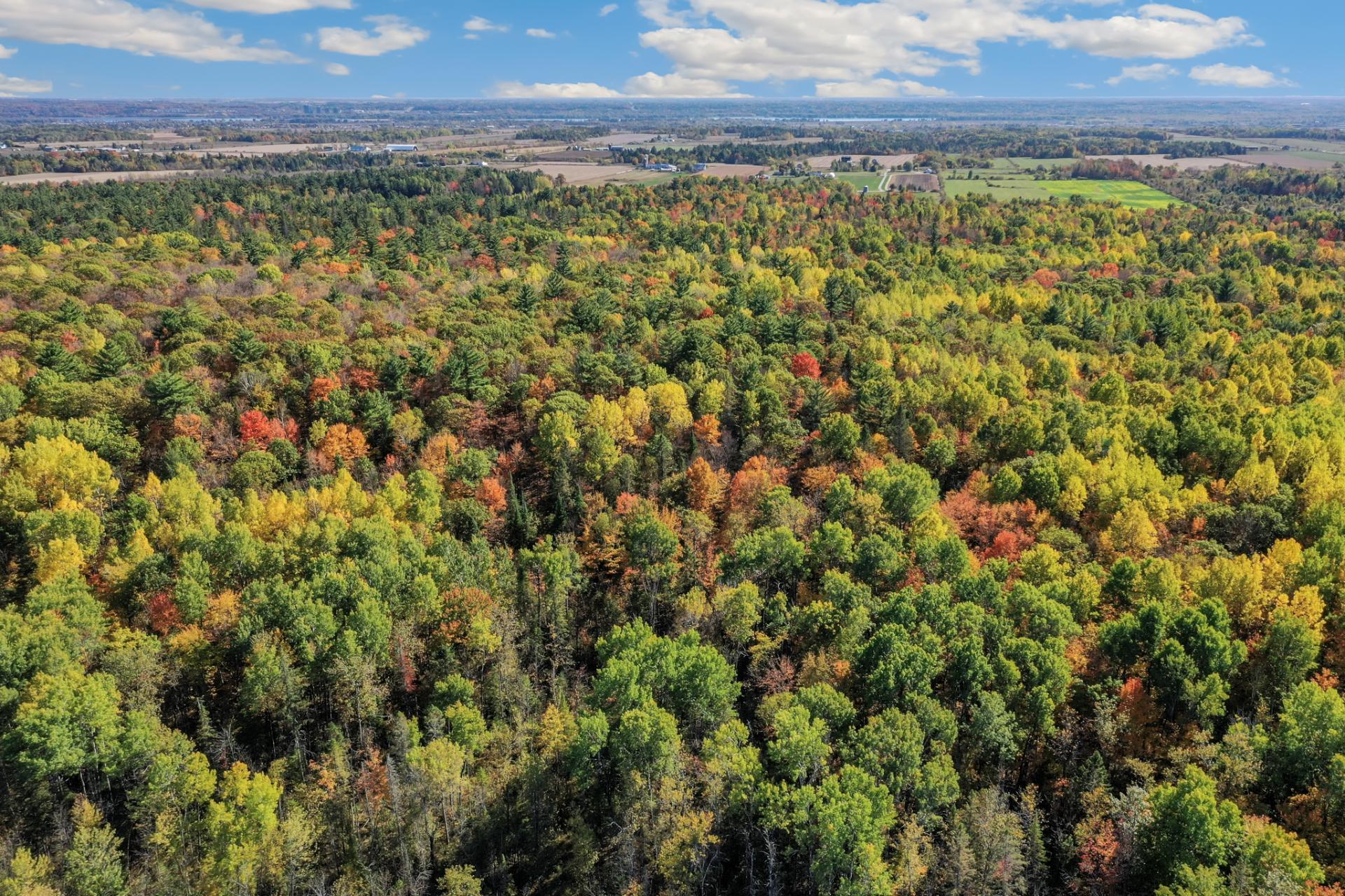 Land/Lot