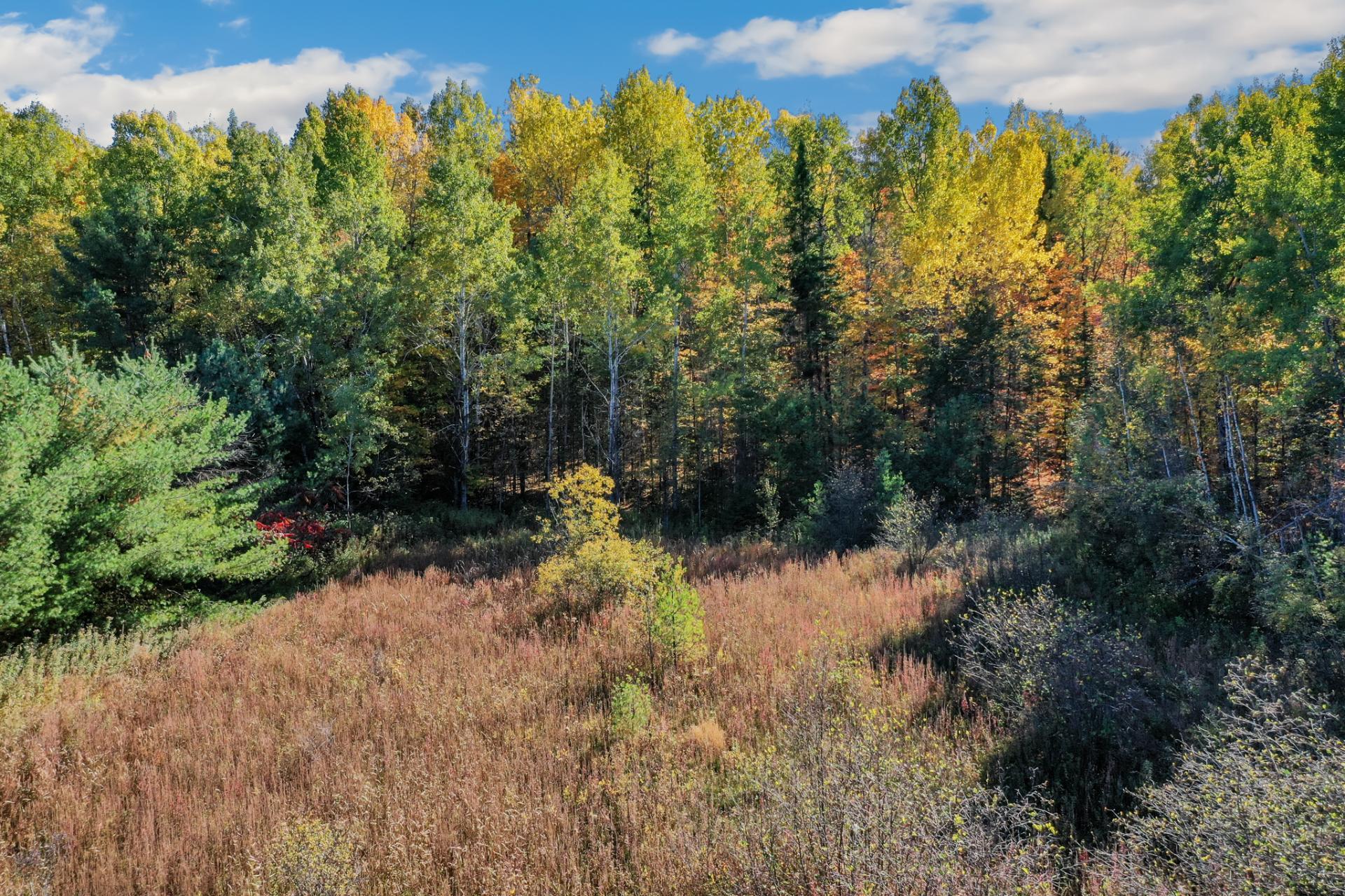 Land/Lot