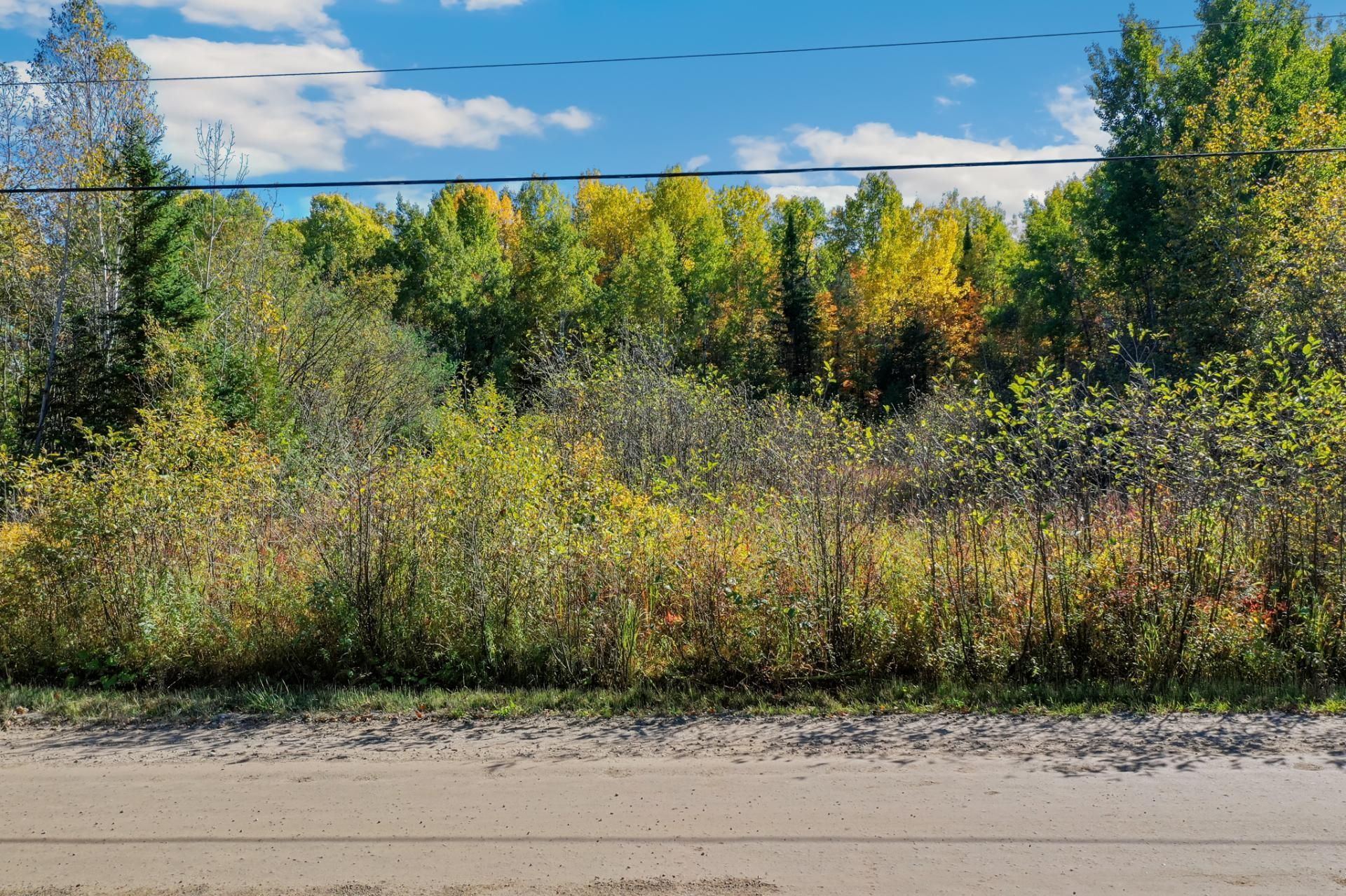 Land/Lot