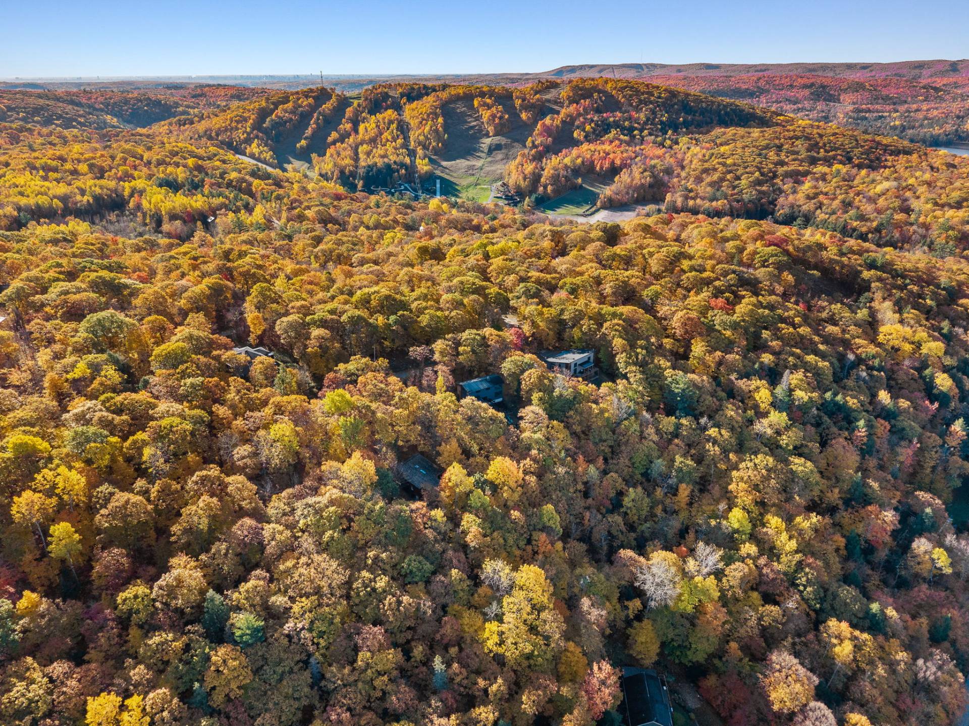 Aerial photo