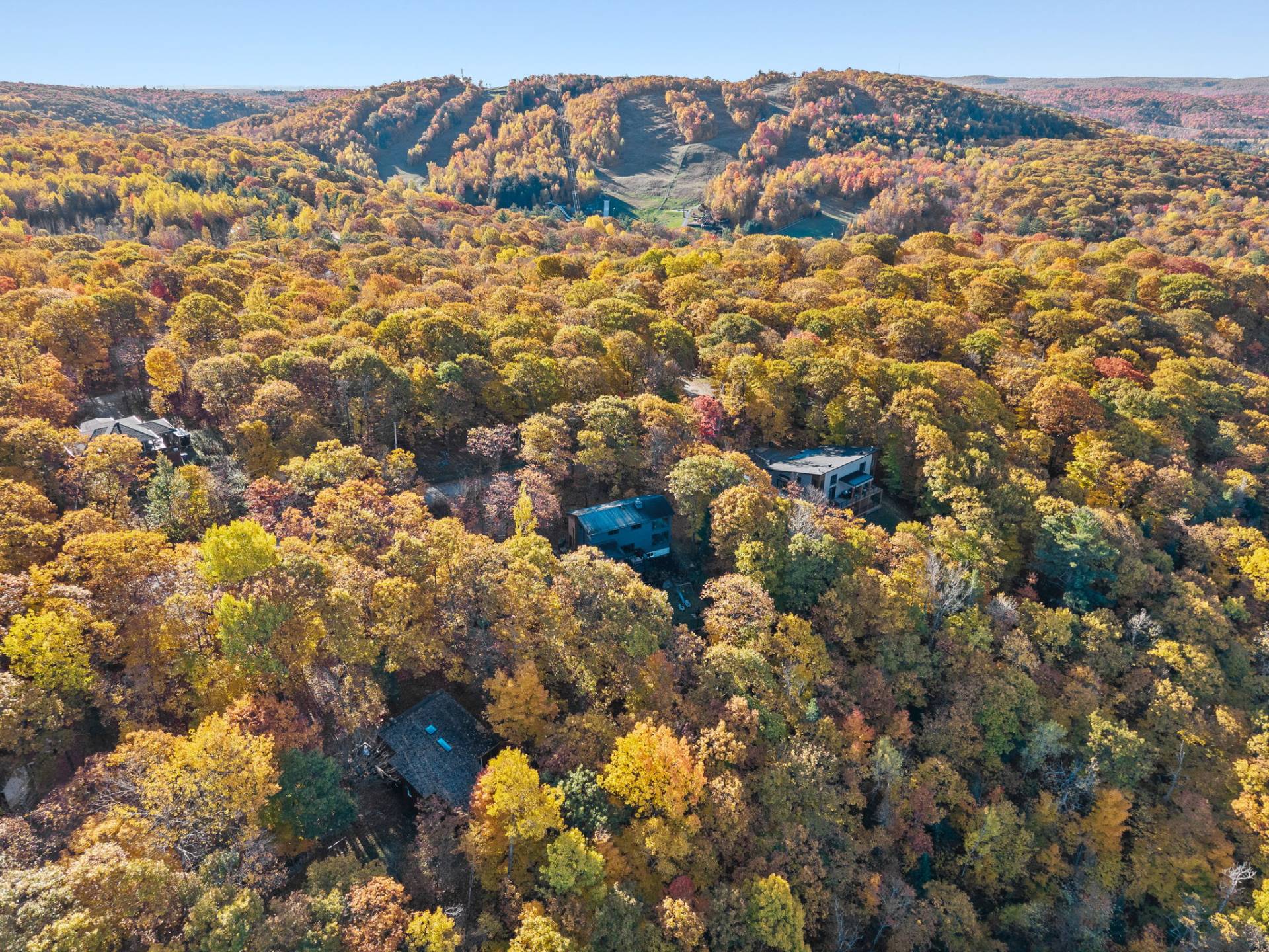 Aerial photo