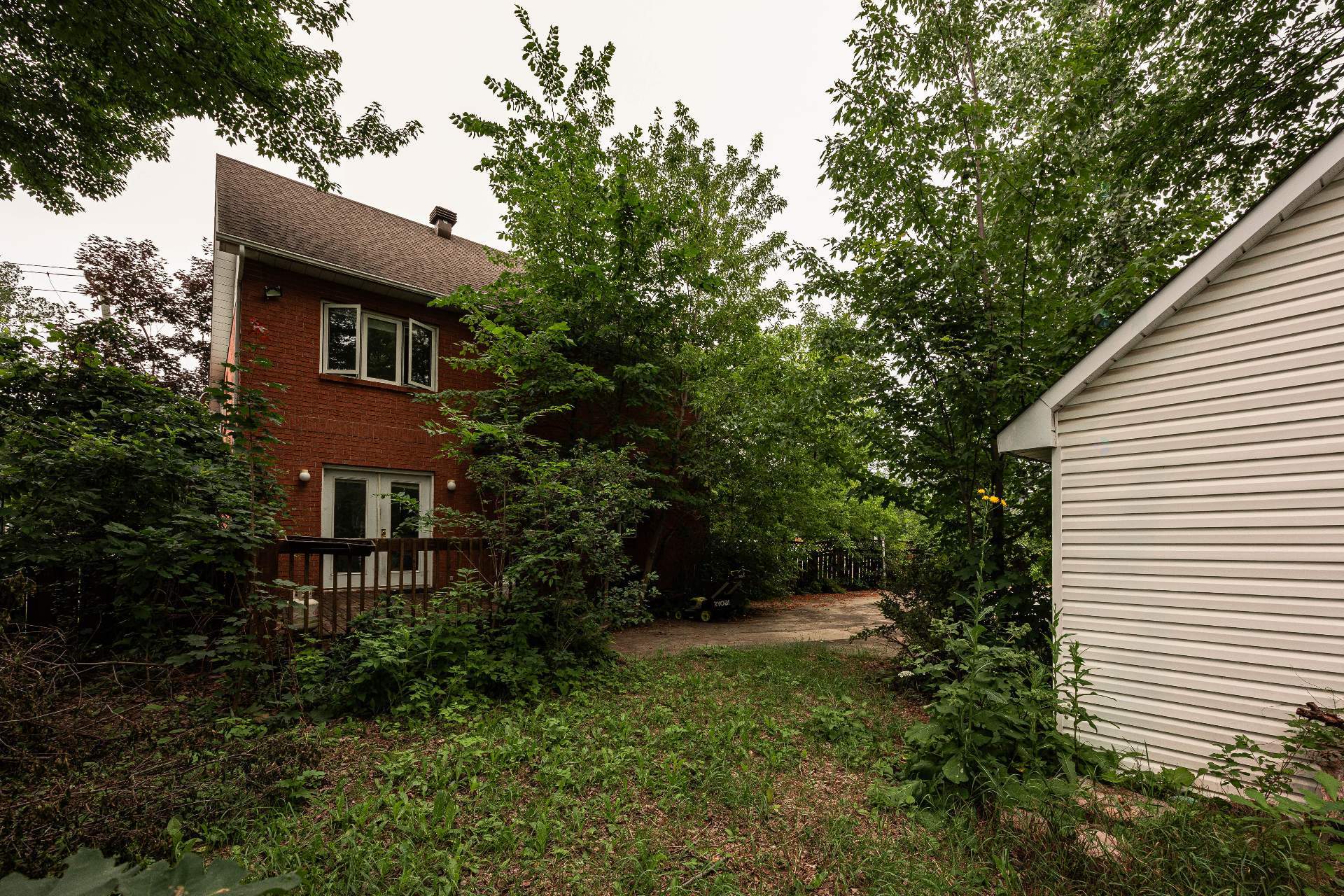 Backyard