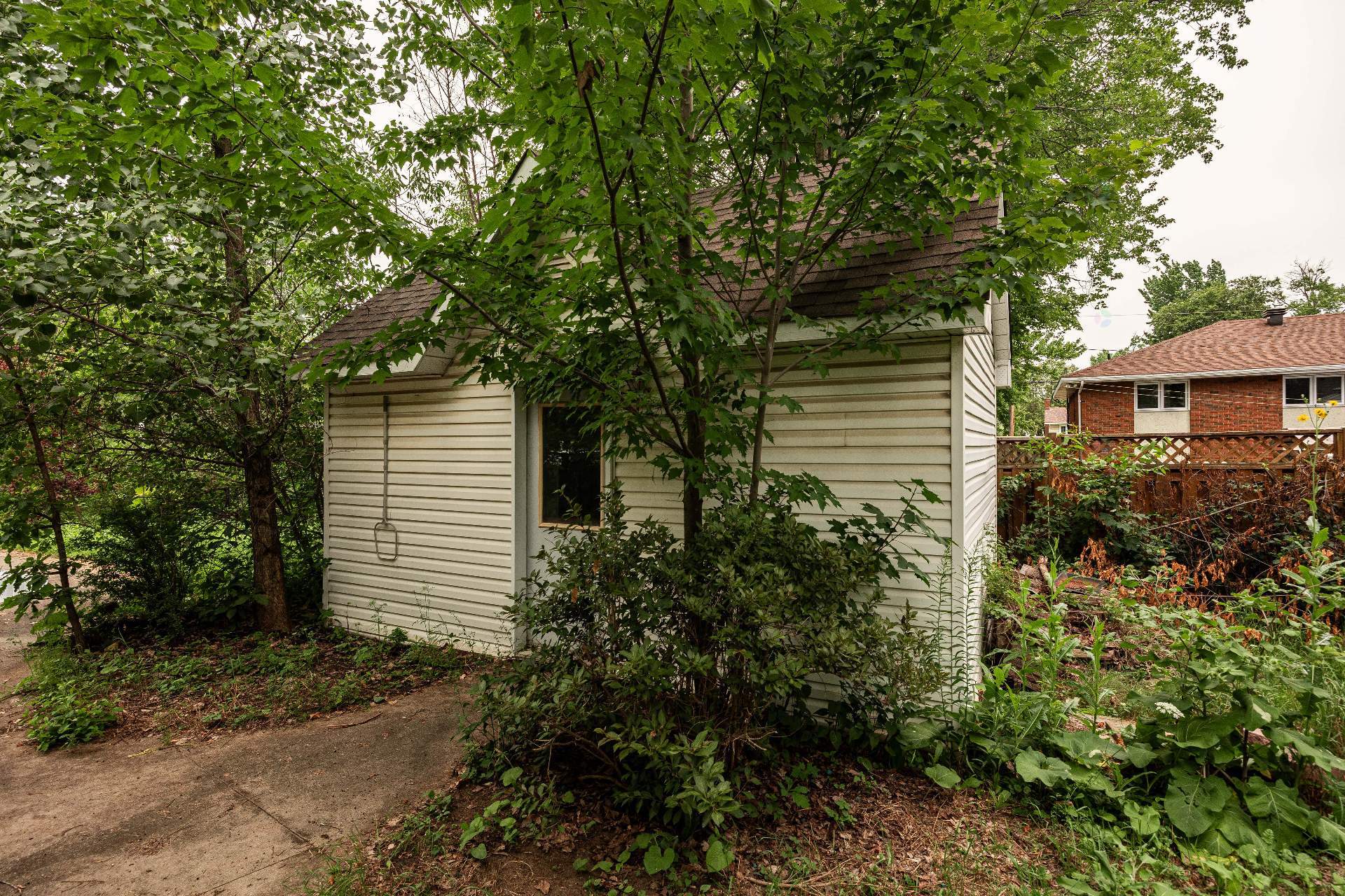 Shed