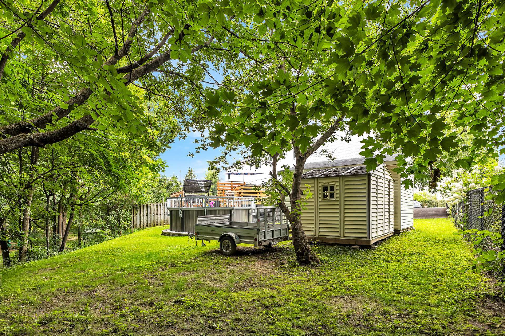 Backyard