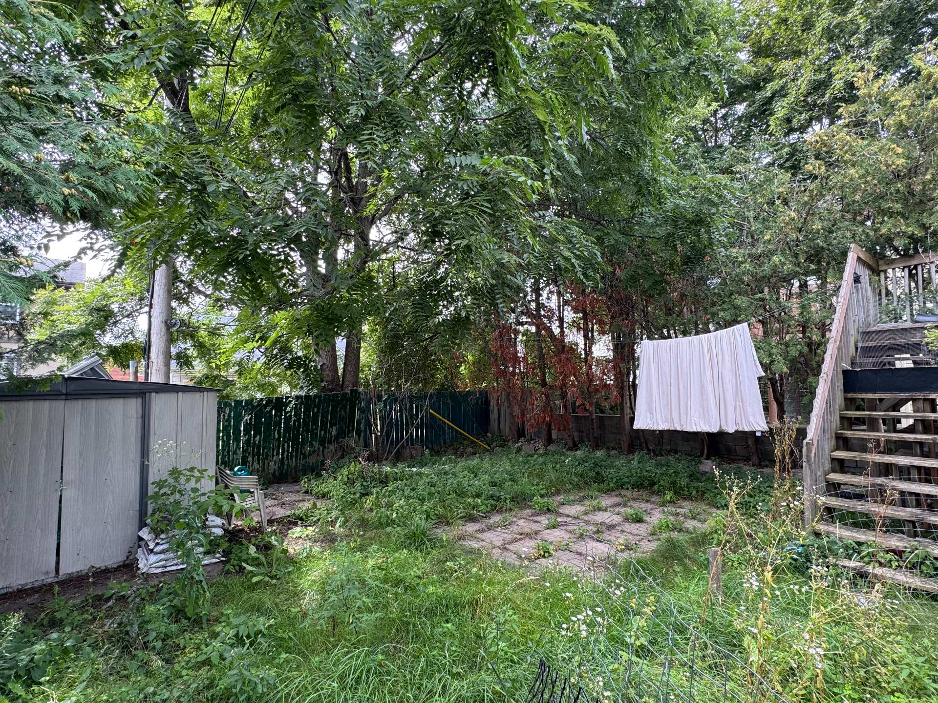 Backyard