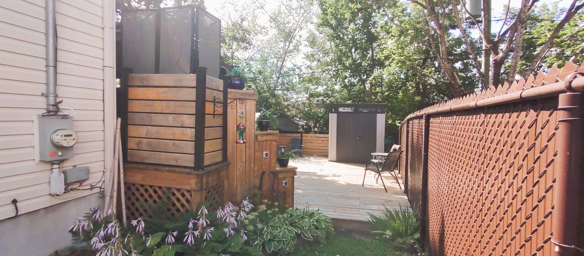 Backyard