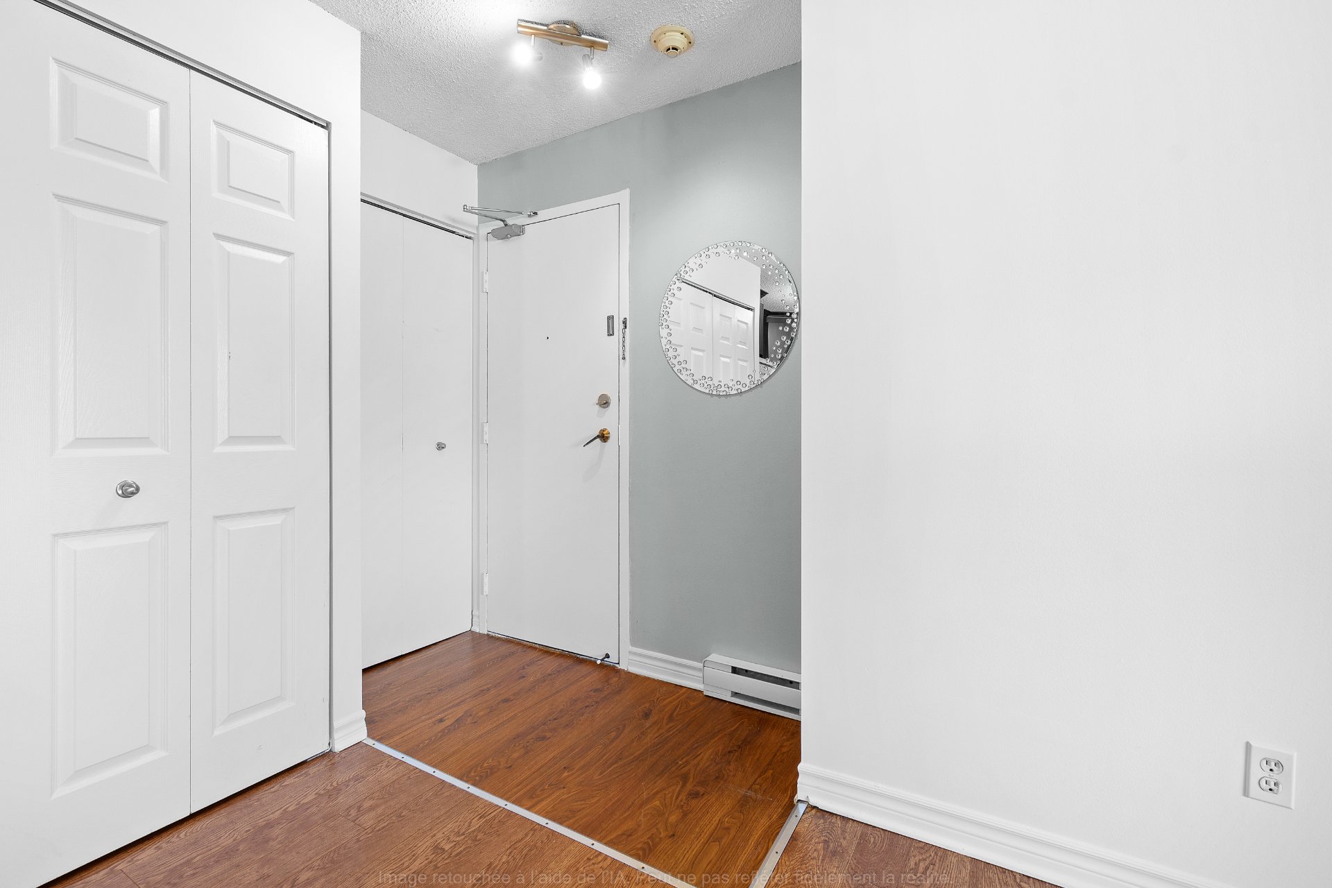 Hall d'entrée/Vestibule