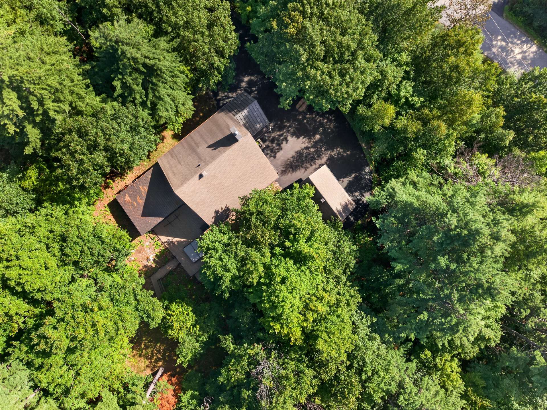 Overall view