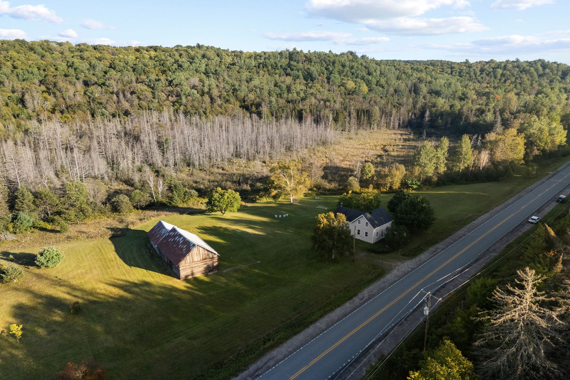 Aerial photo