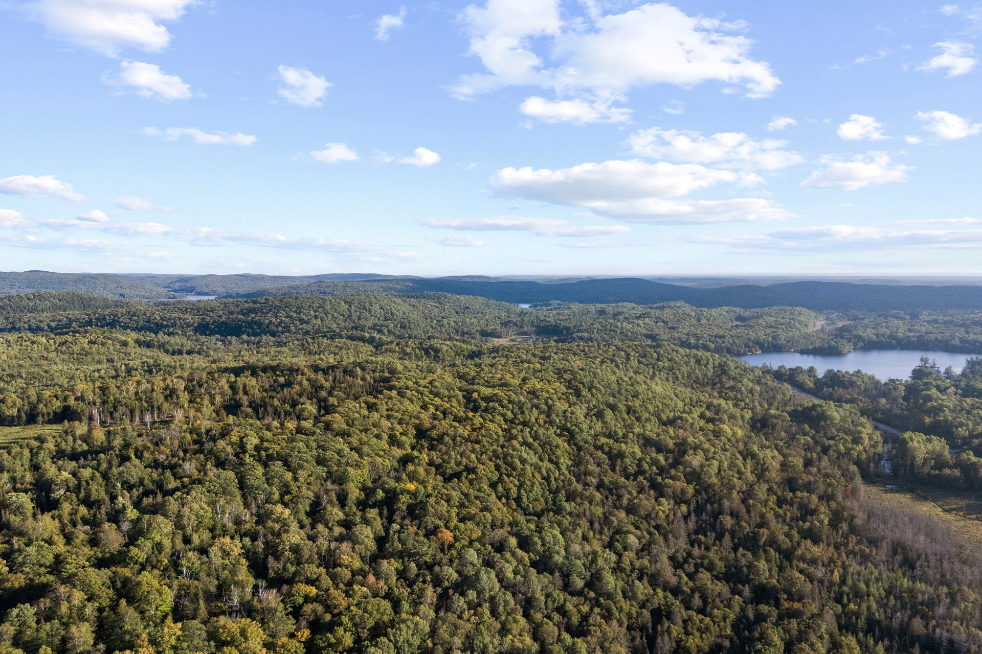 Aerial photo