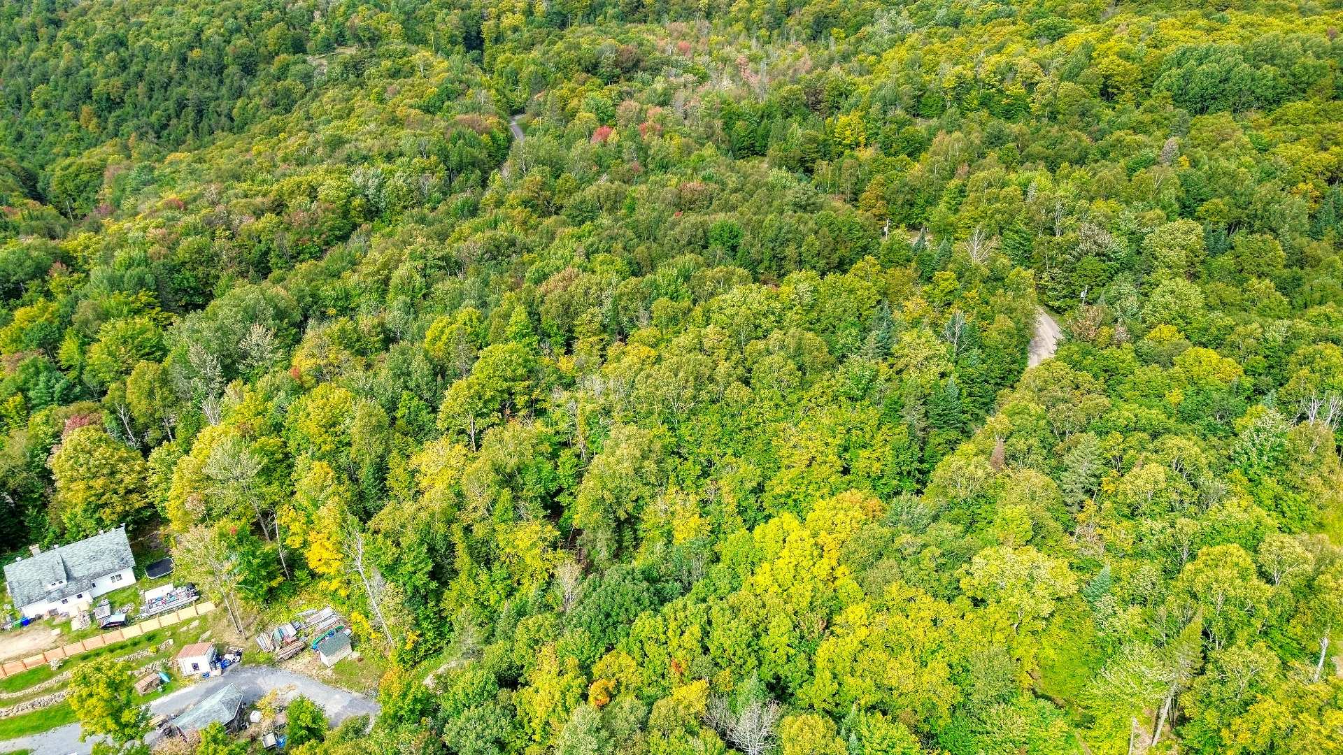 Aerial photo