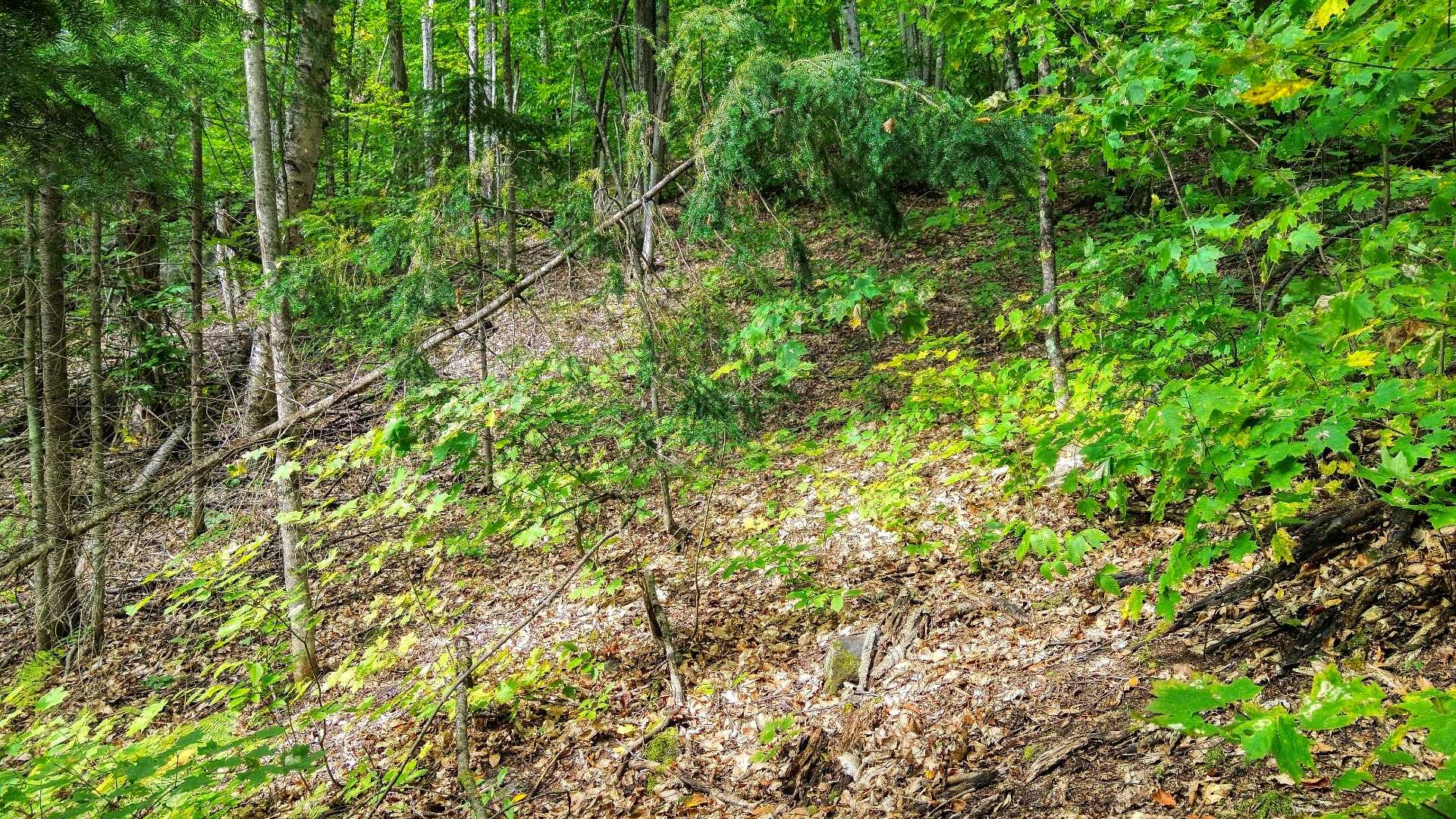 Land/Lot