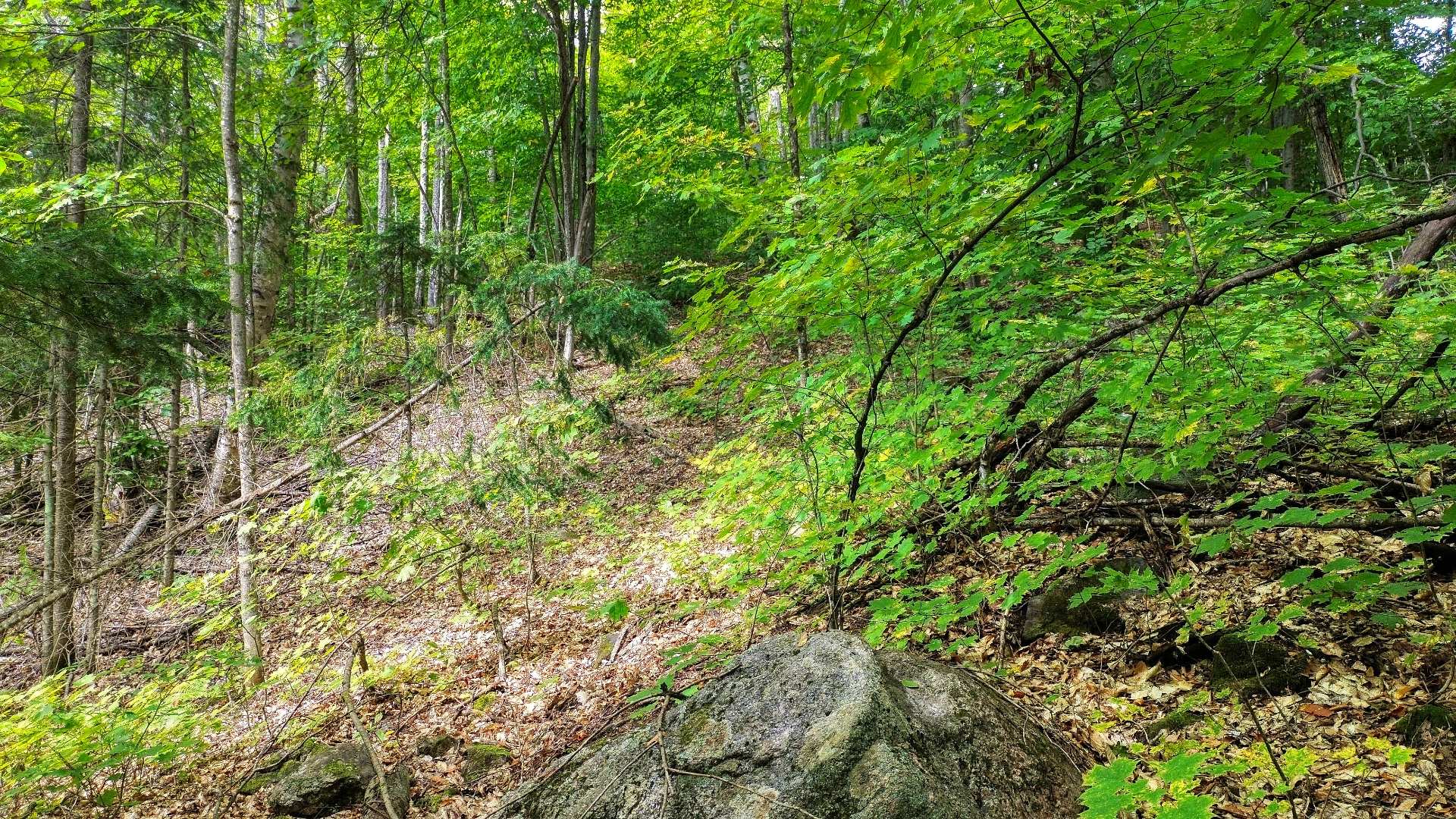 Land/Lot