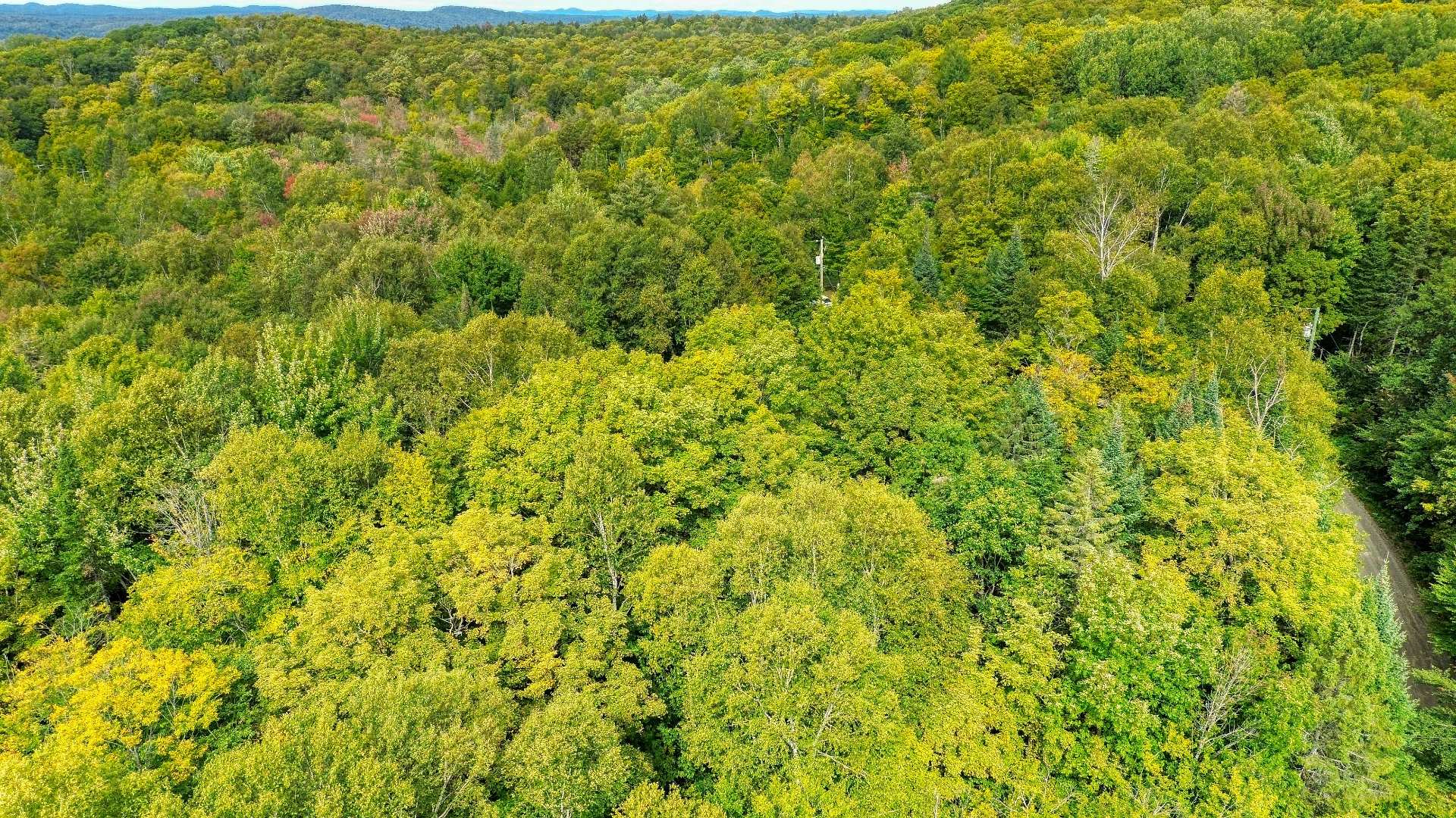 Aerial photo