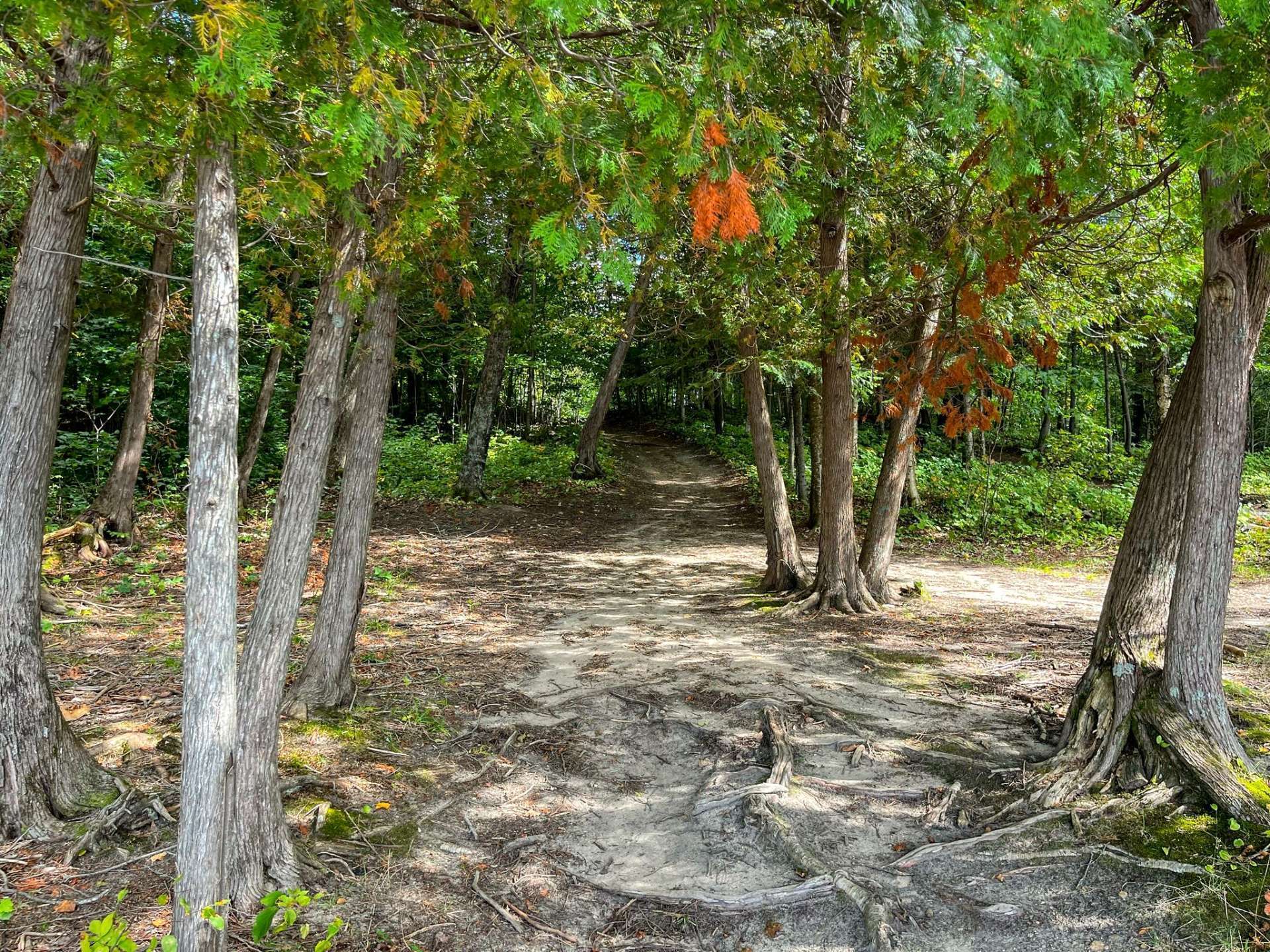 Access to a body of water