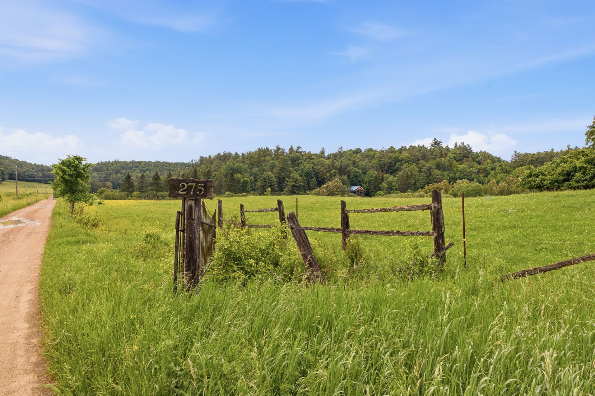 Land/Lot