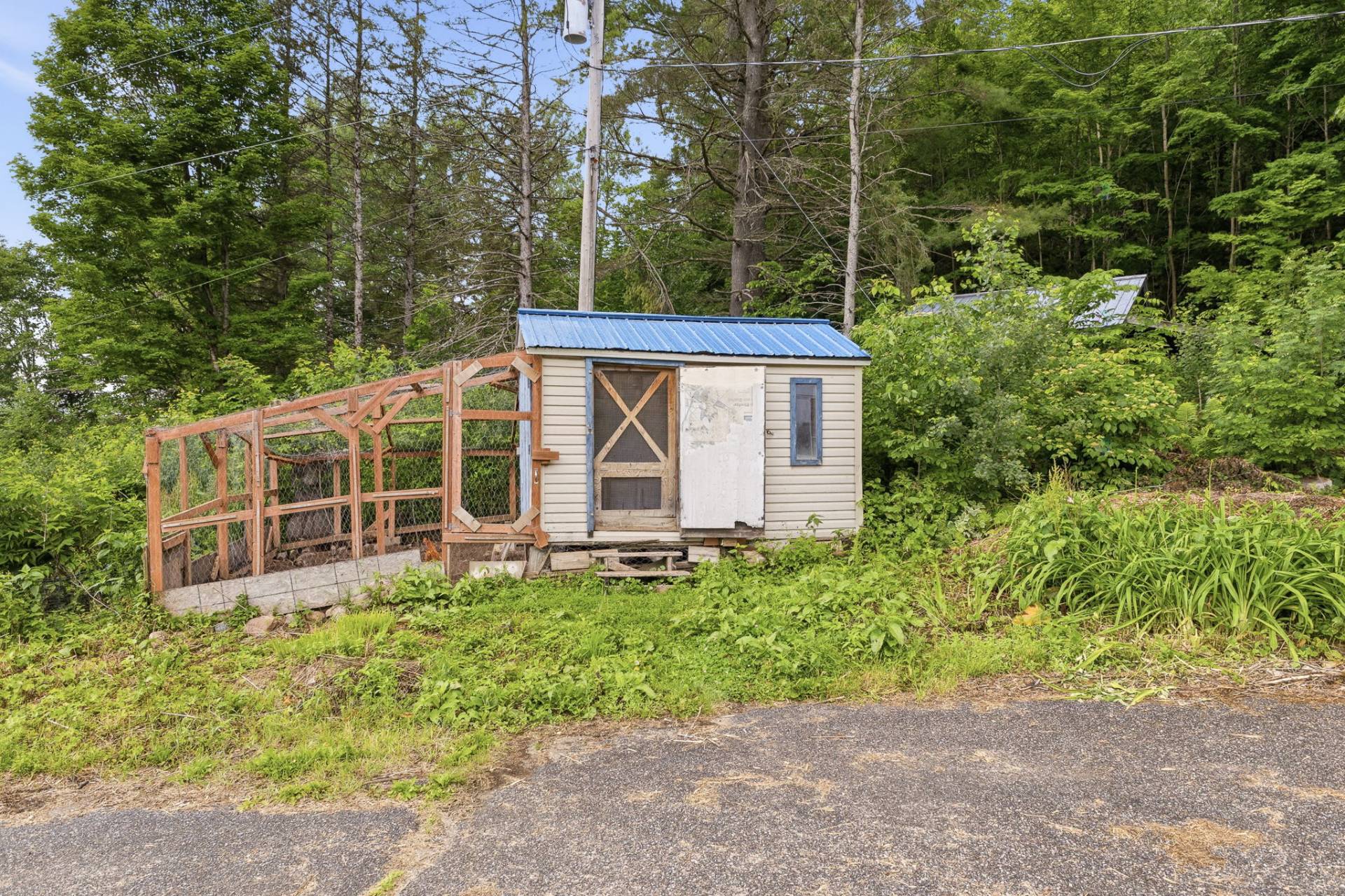 Shed