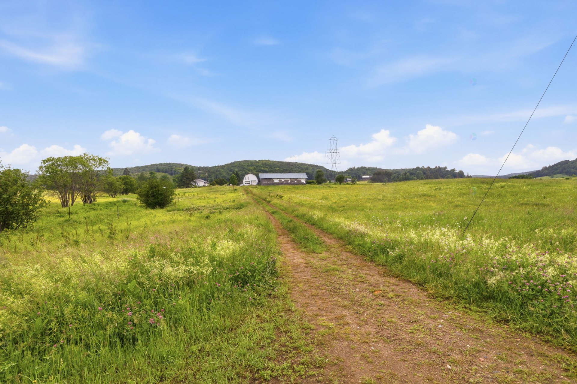 Land/Lot