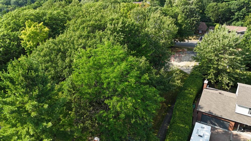 Autre - Parc à deux pas de la maison.