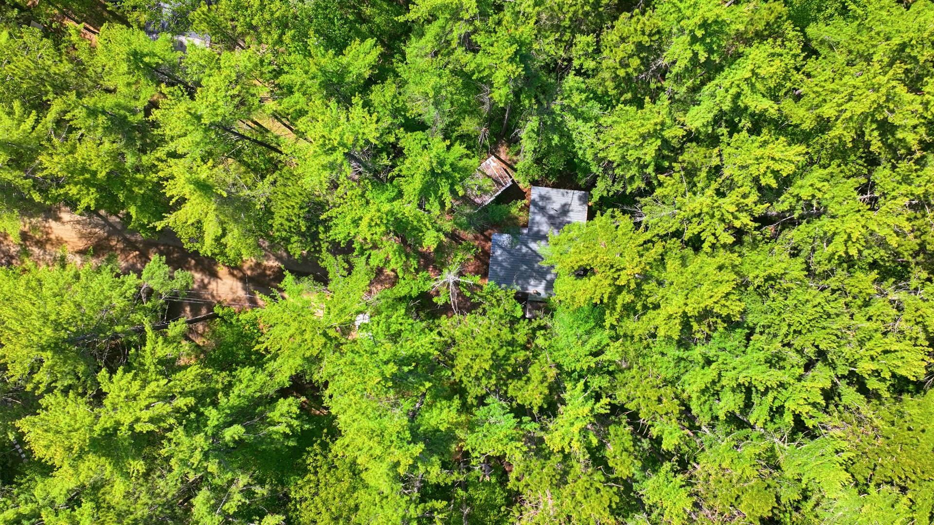 Aerial photo