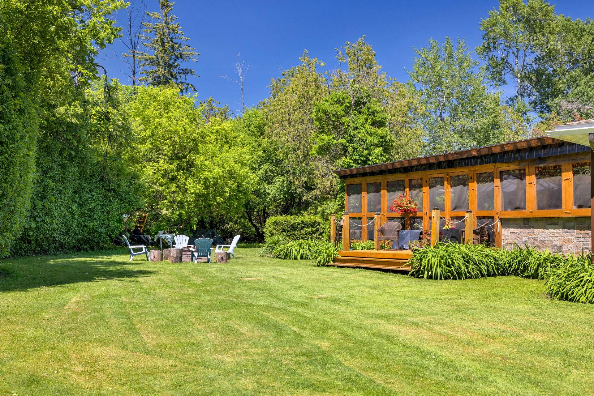 Backyard