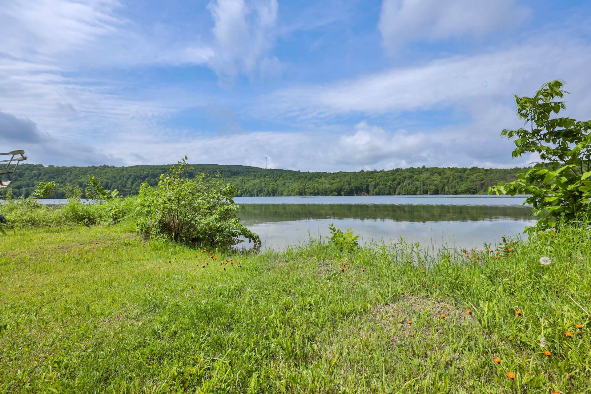 Water view
