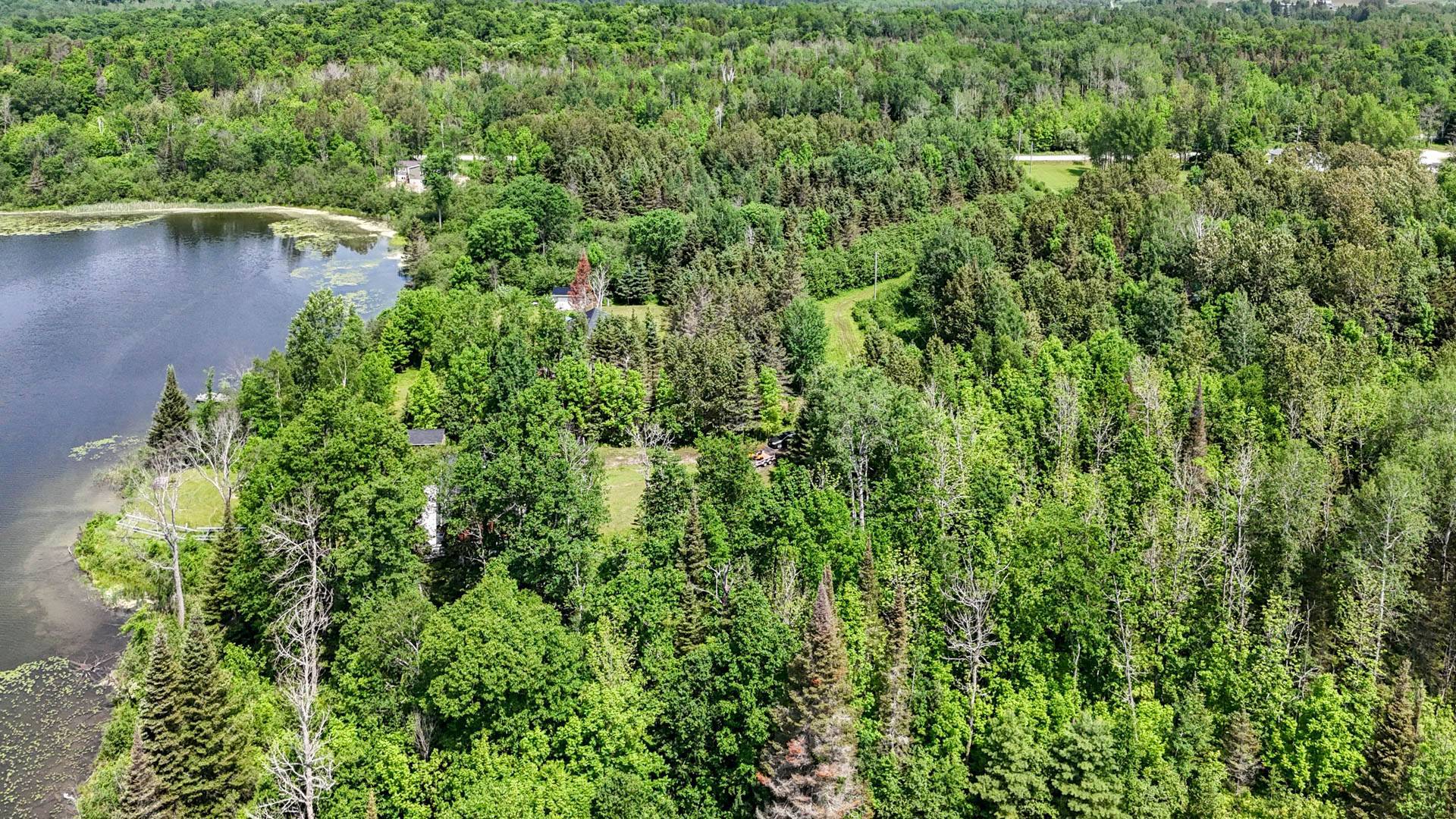 Overall view