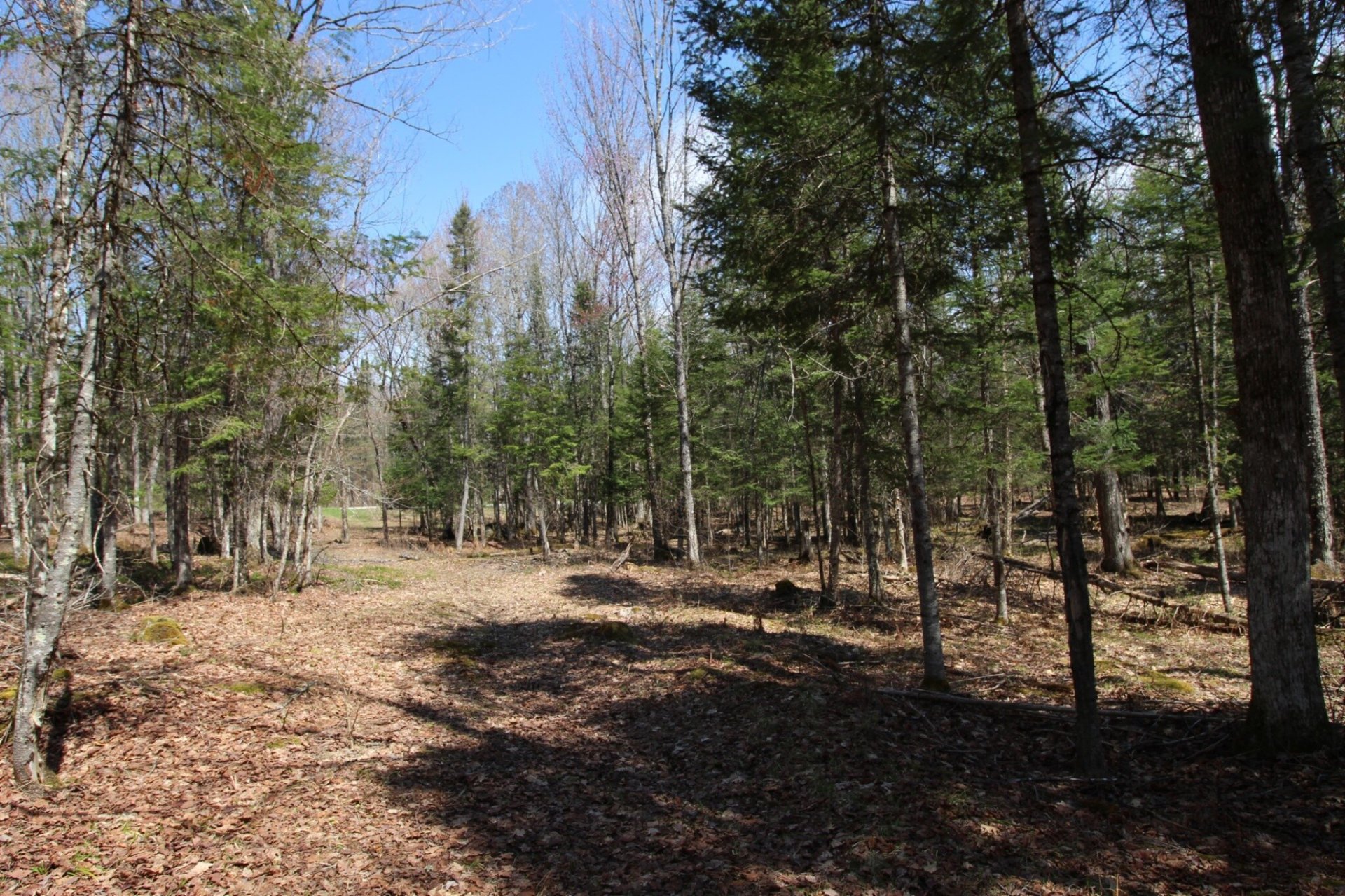 Land/Lot