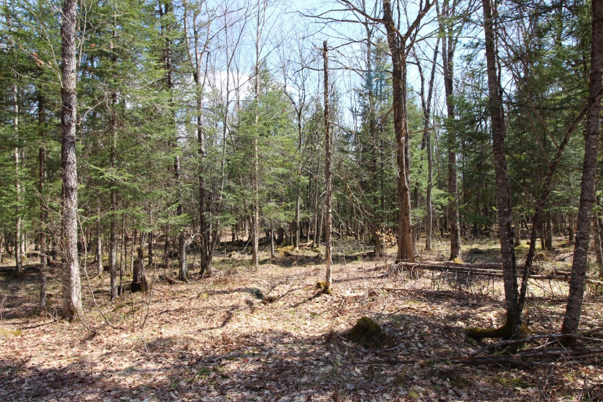Land/Lot