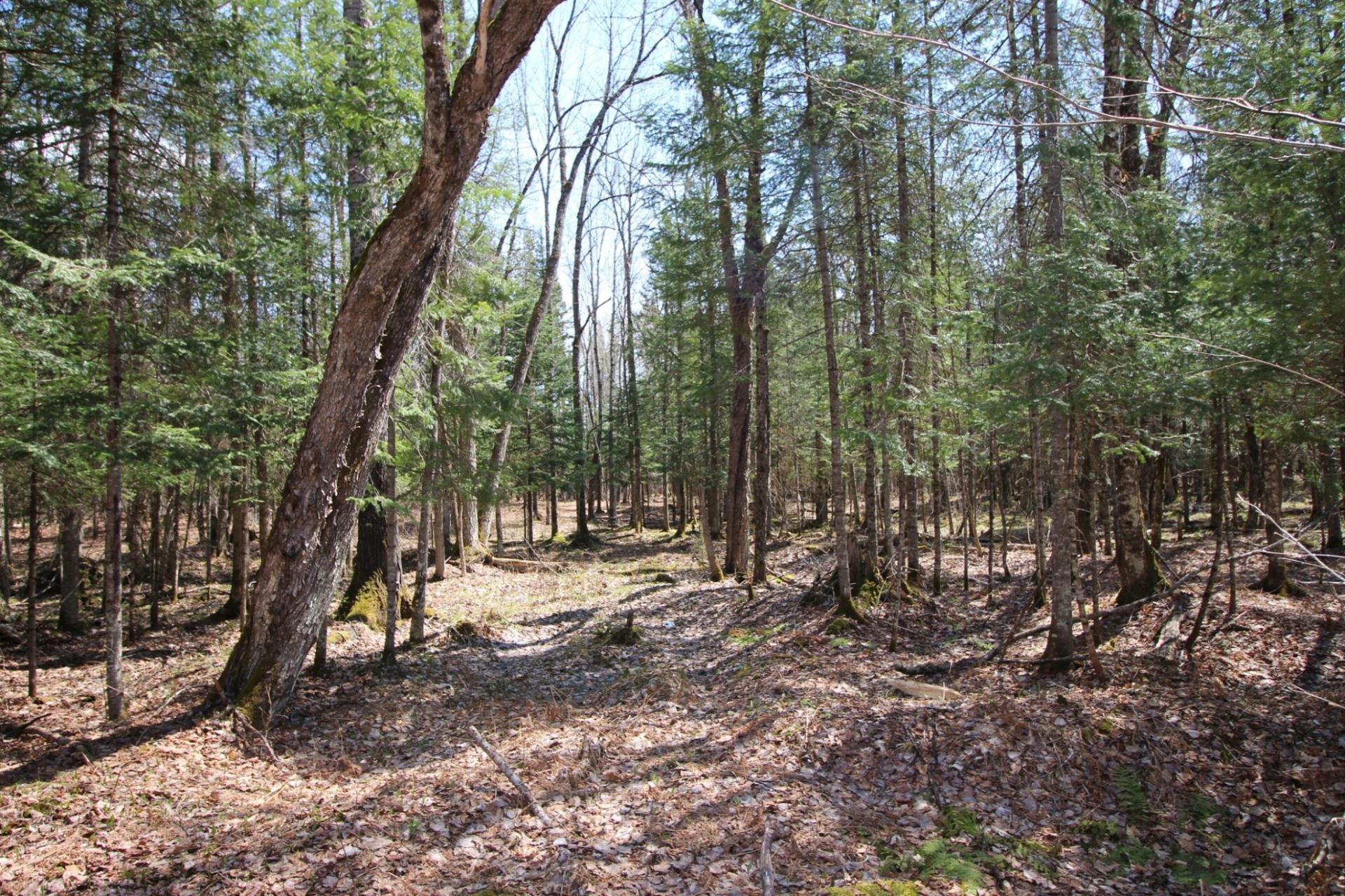 Land/Lot