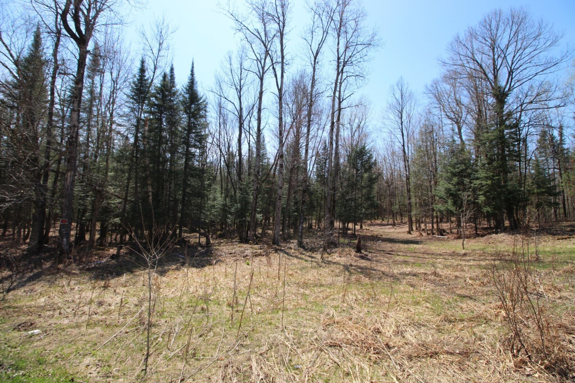 Land/Lot