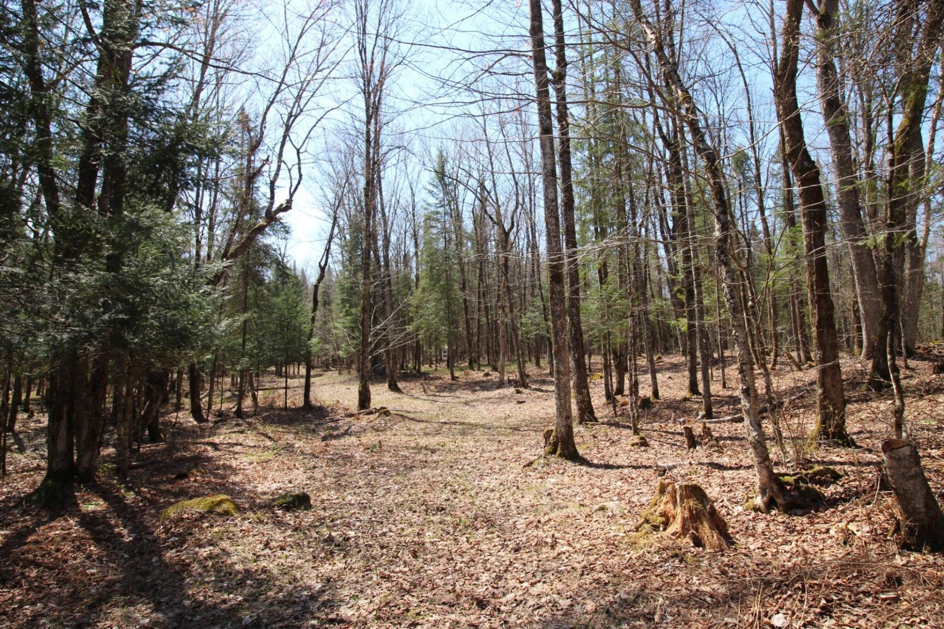 Land/Lot