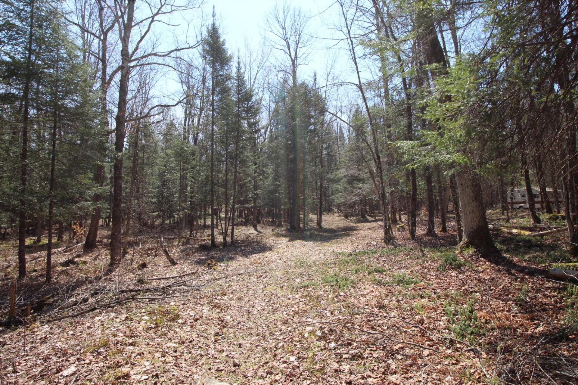 Land/Lot