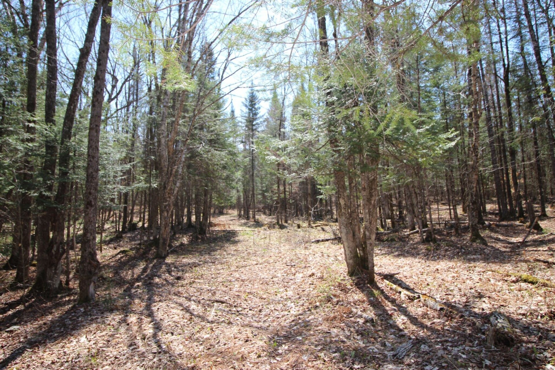 Land/Lot