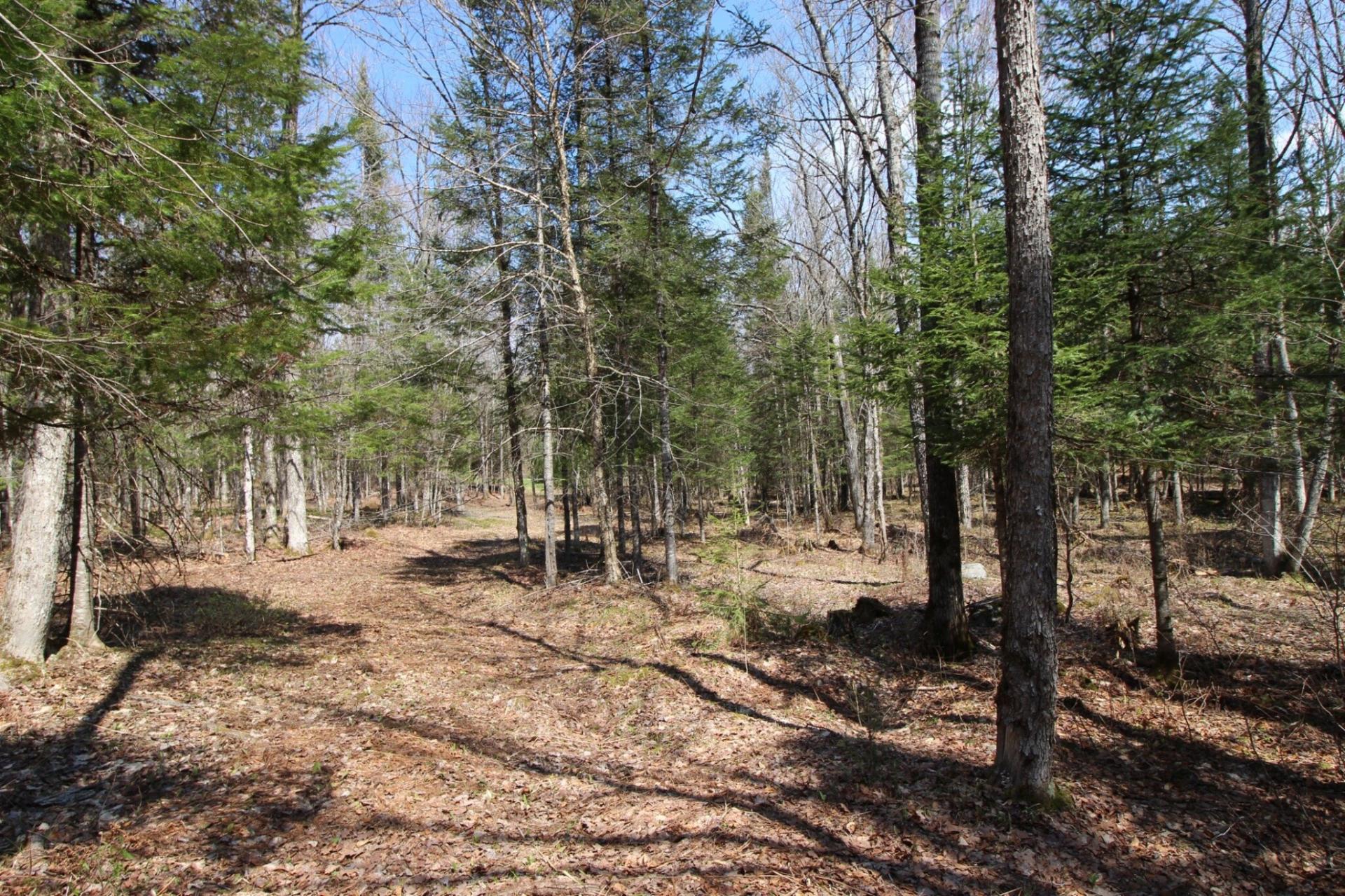 Land/Lot