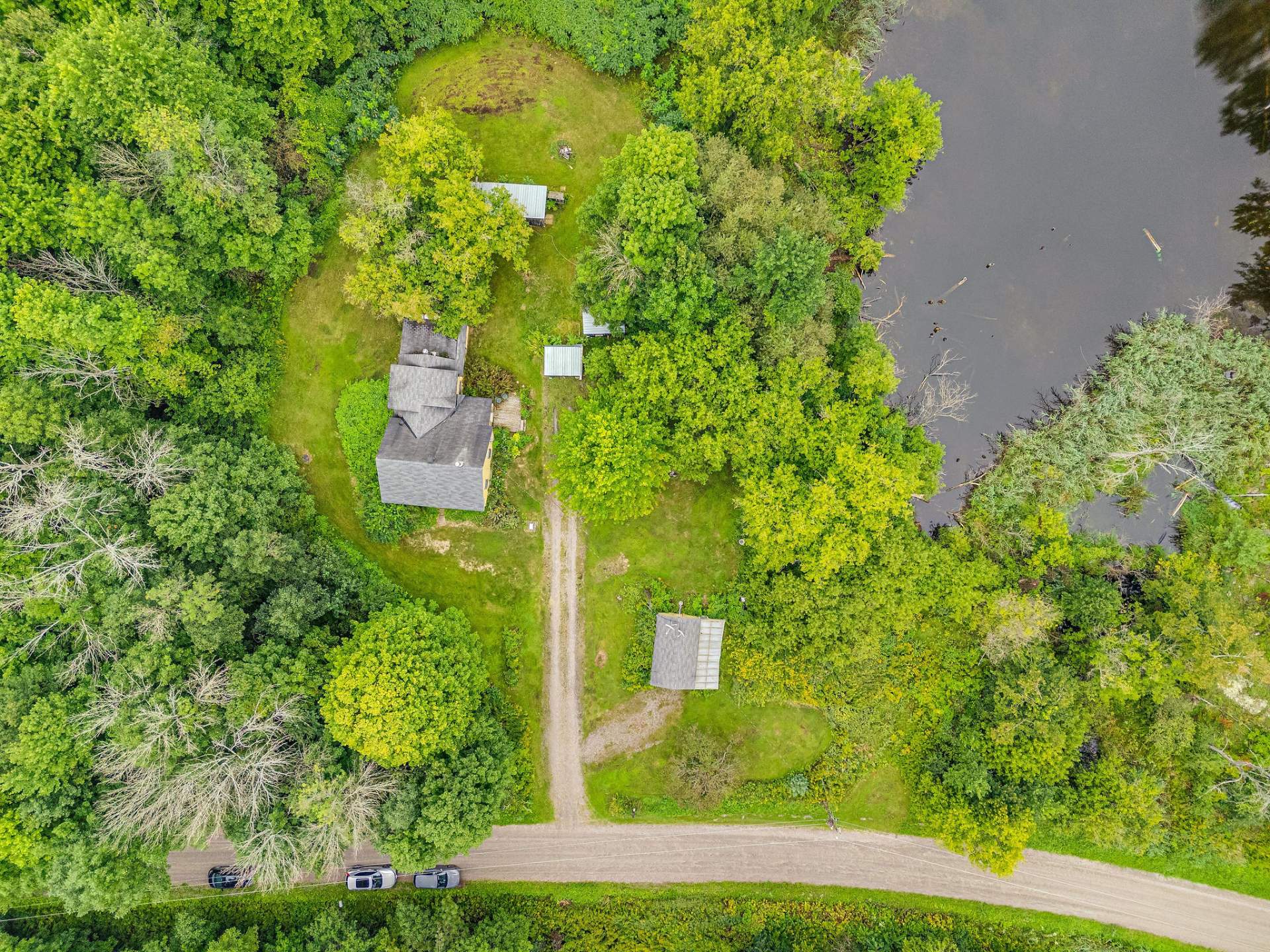 bird view