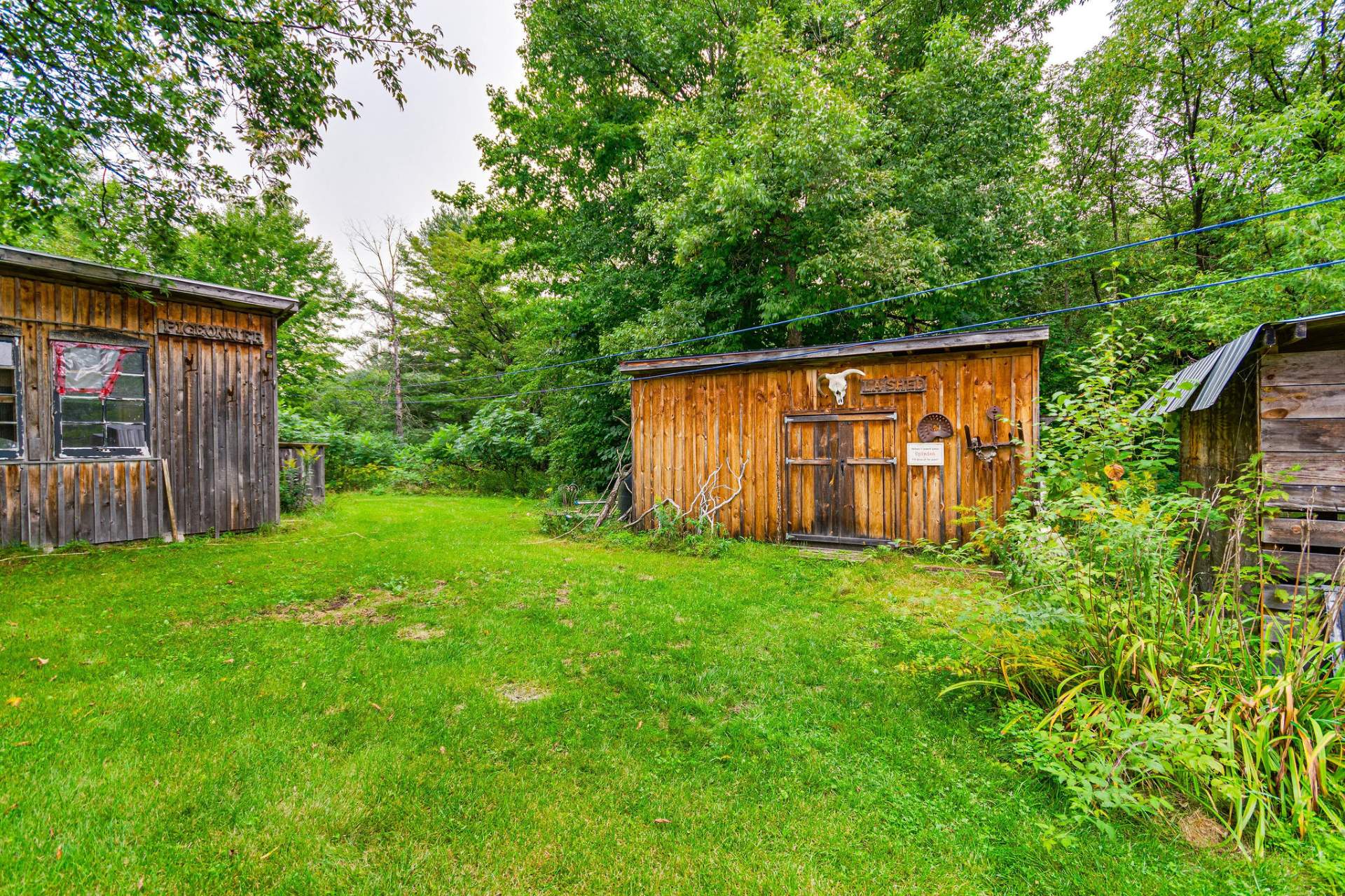 Shed