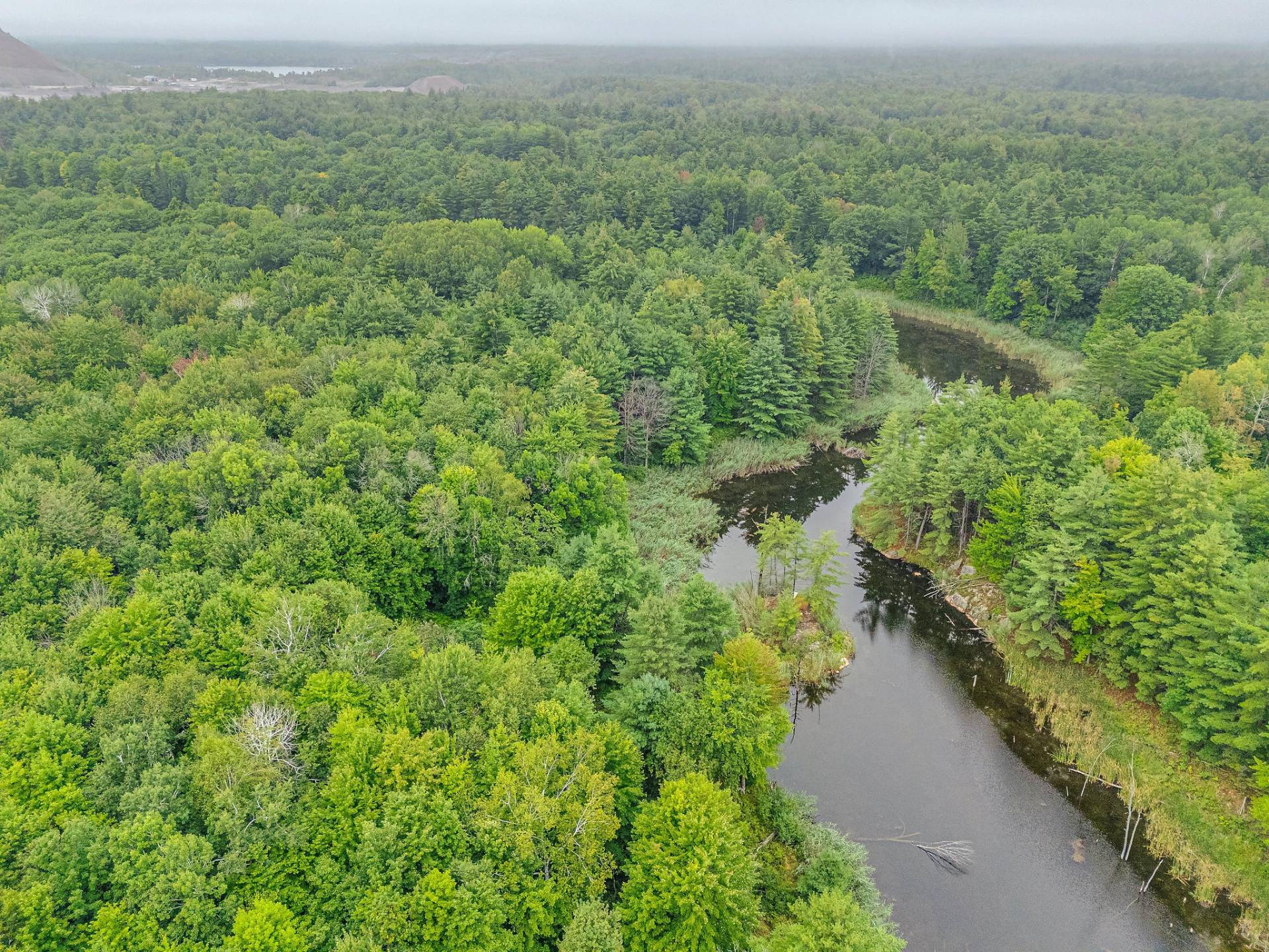 Aerial photo