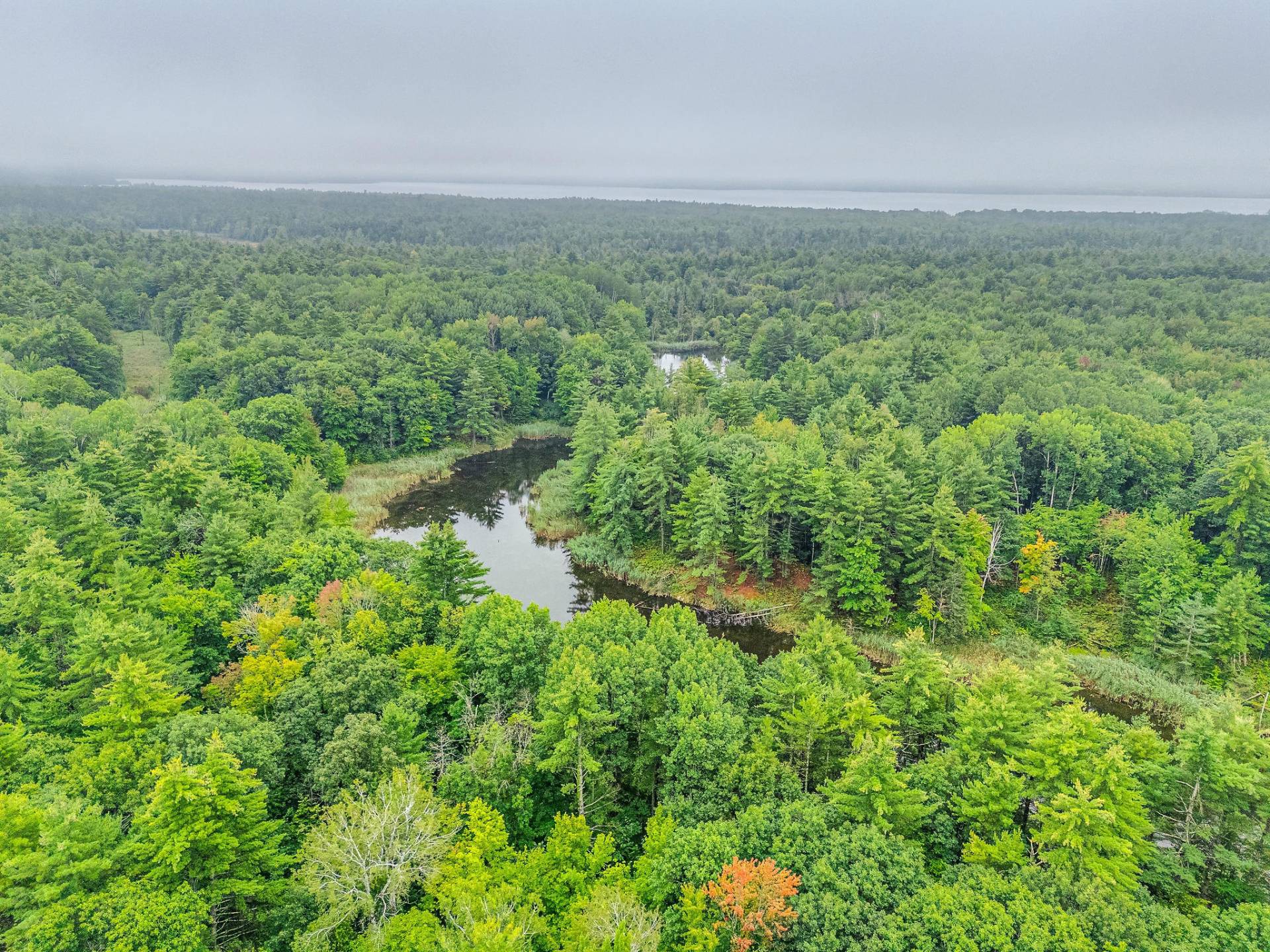 Aerial photo
