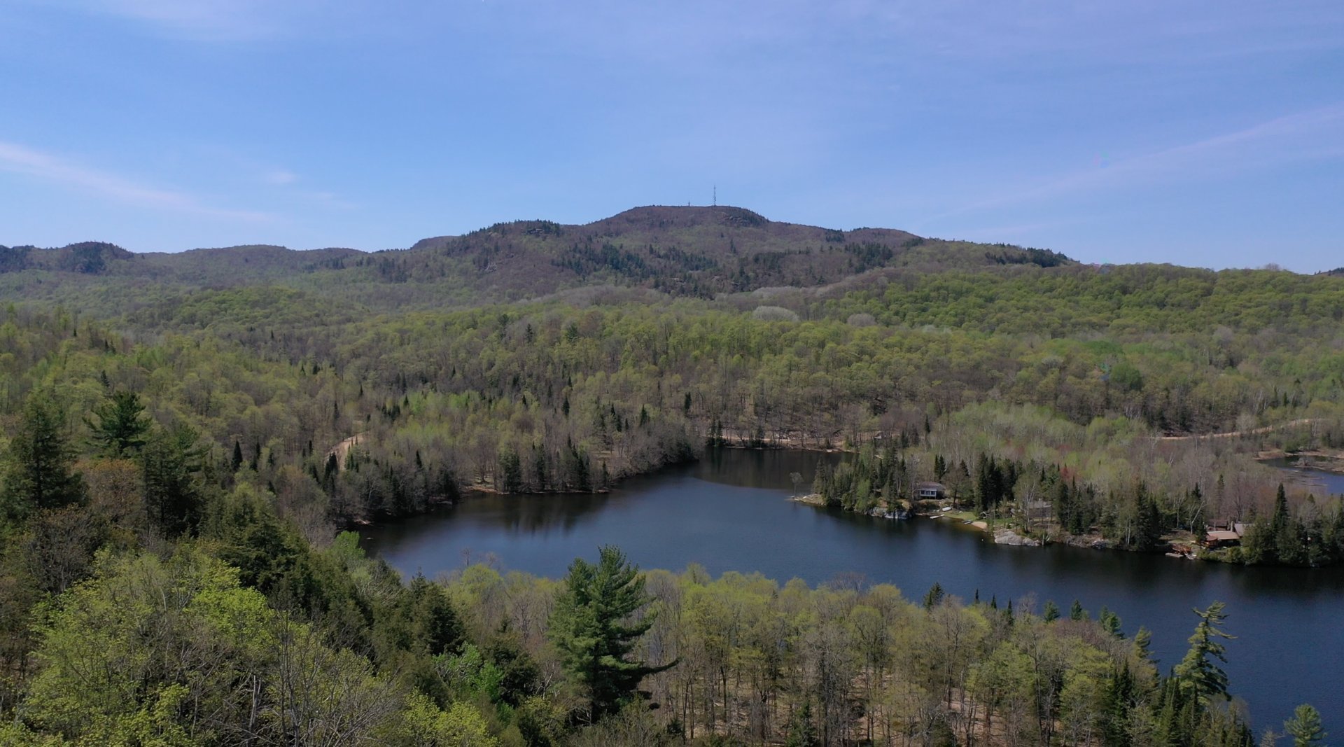 Overall view