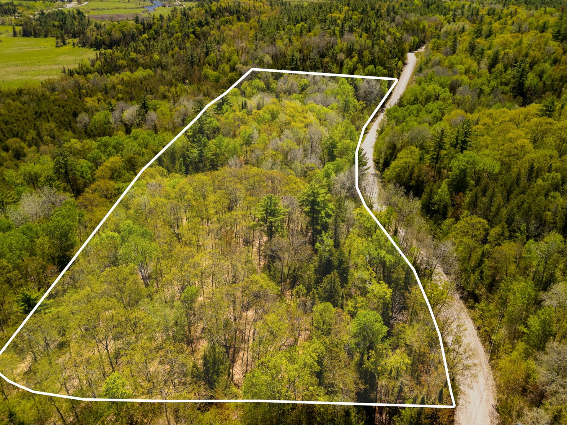 Aerial photo