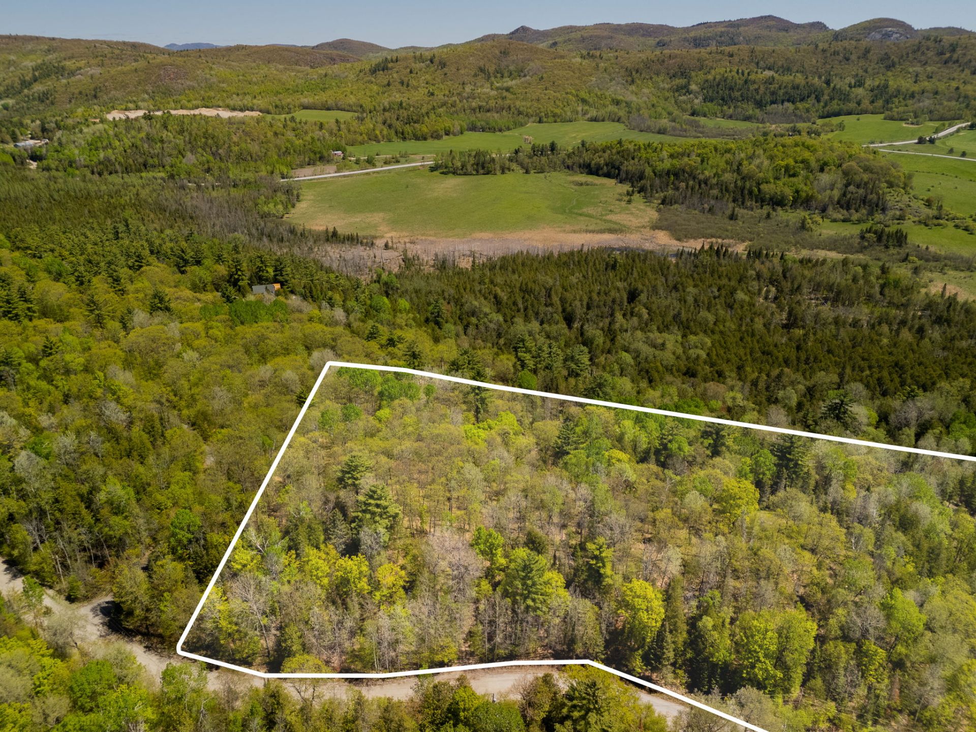 Aerial photo
