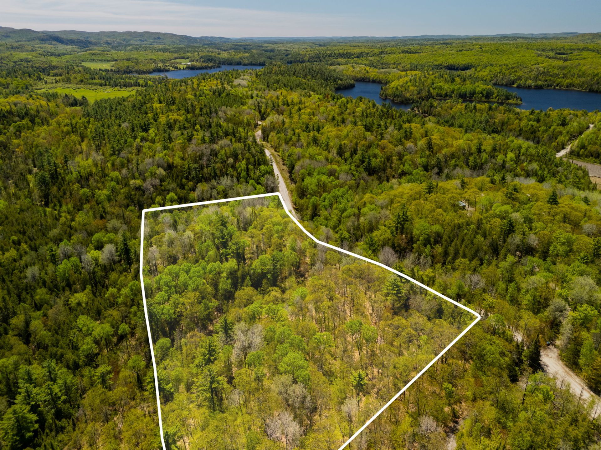 Aerial photo