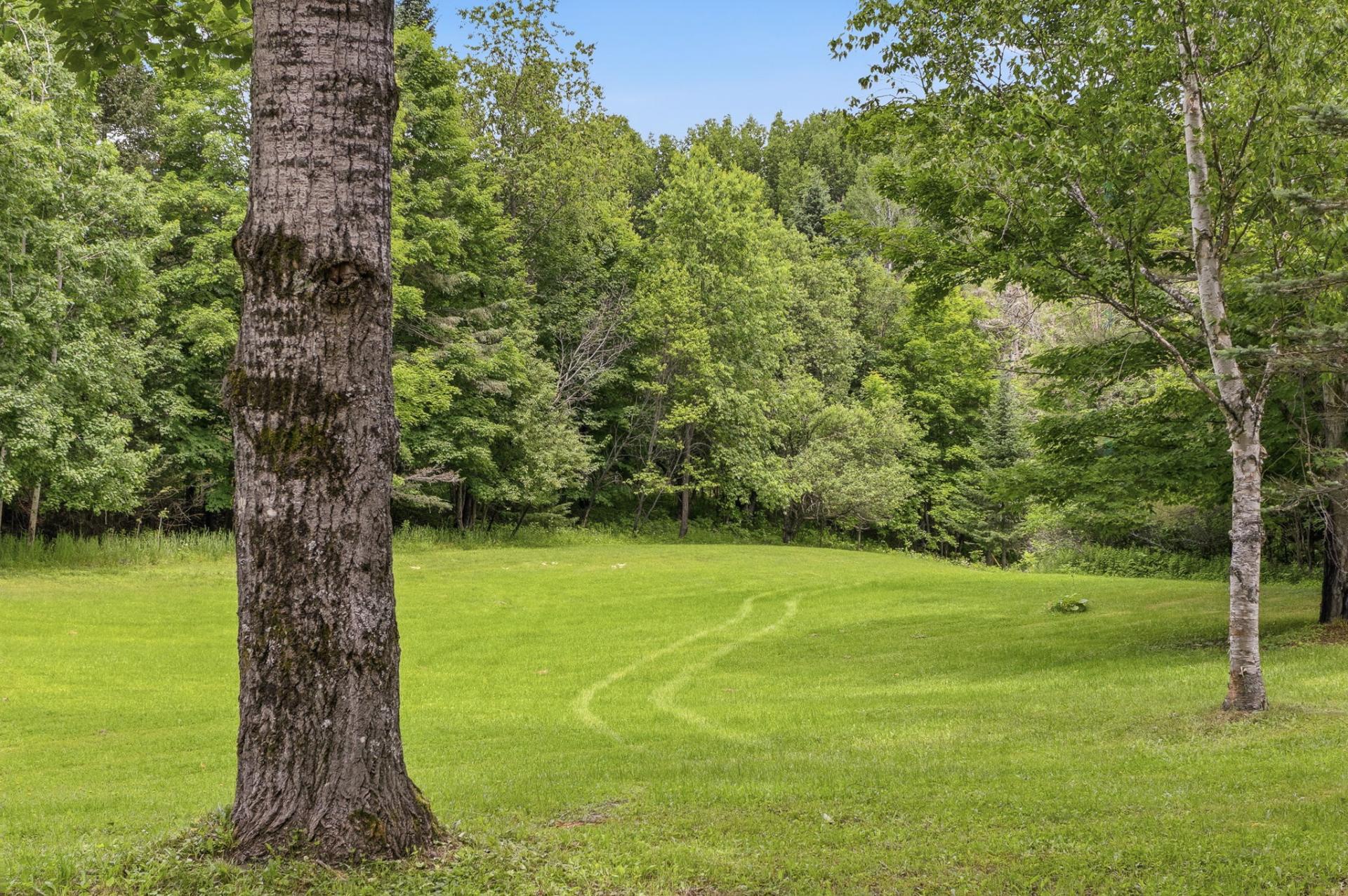 Land/Lot