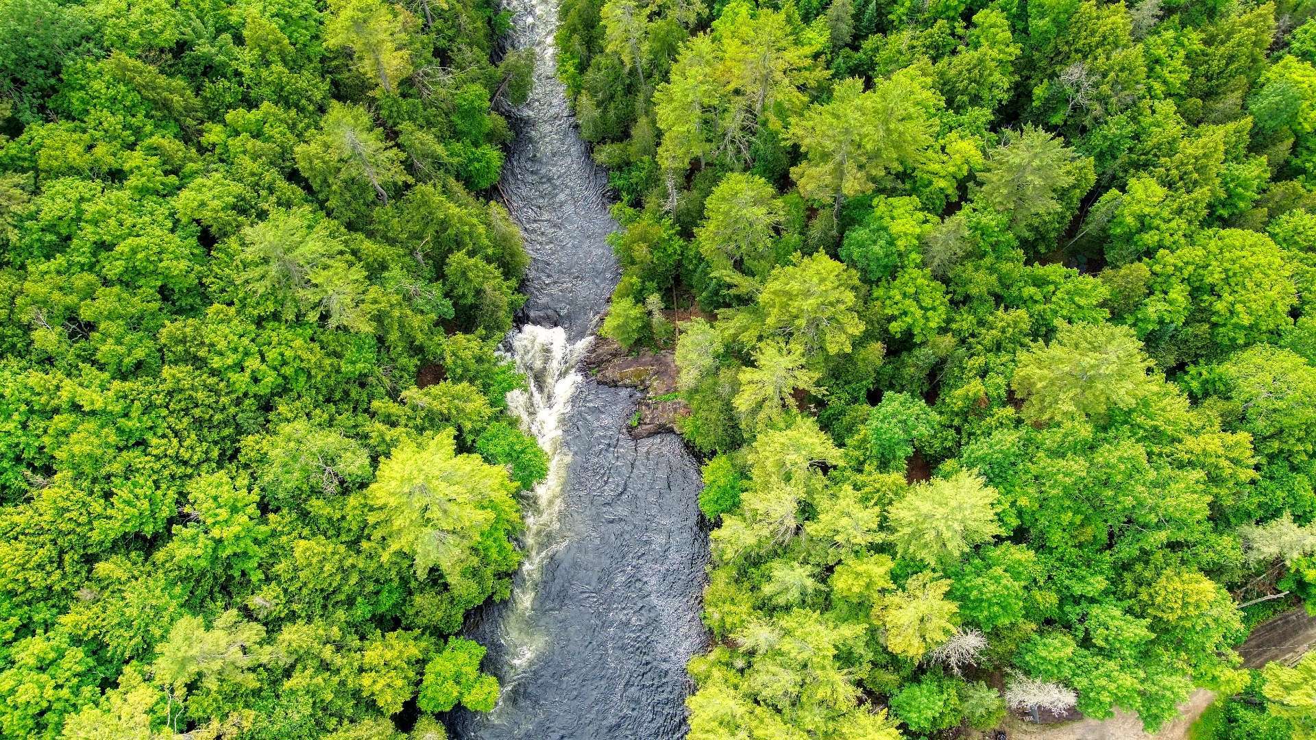 Aerial photo