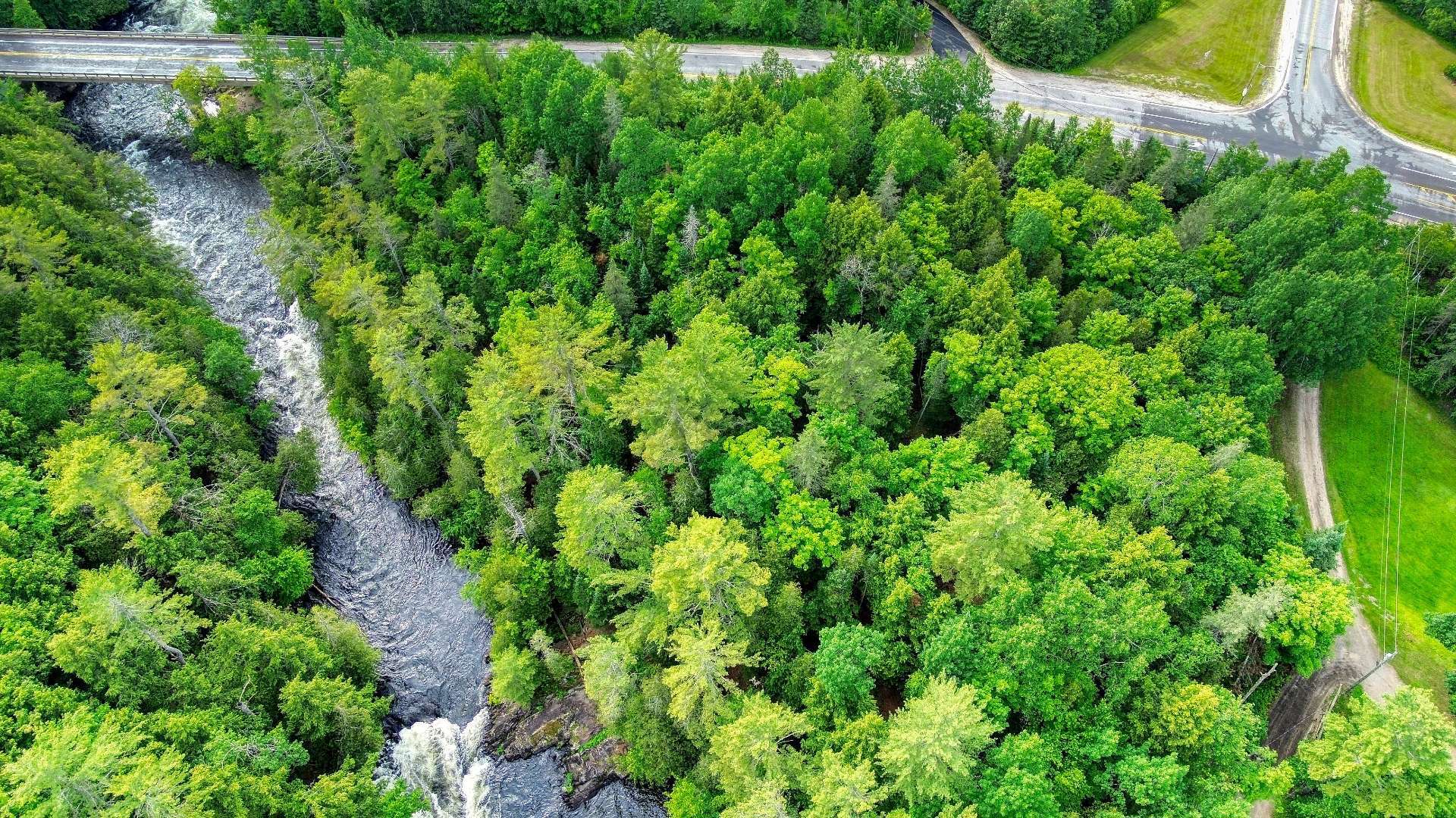 Aerial photo