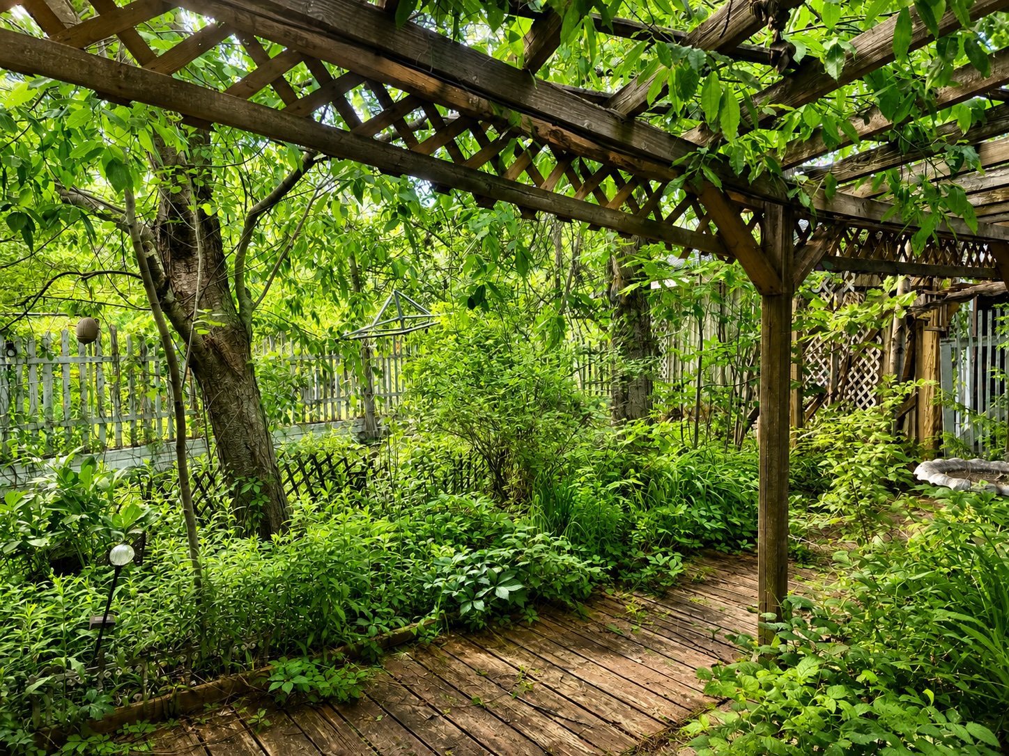 Garden